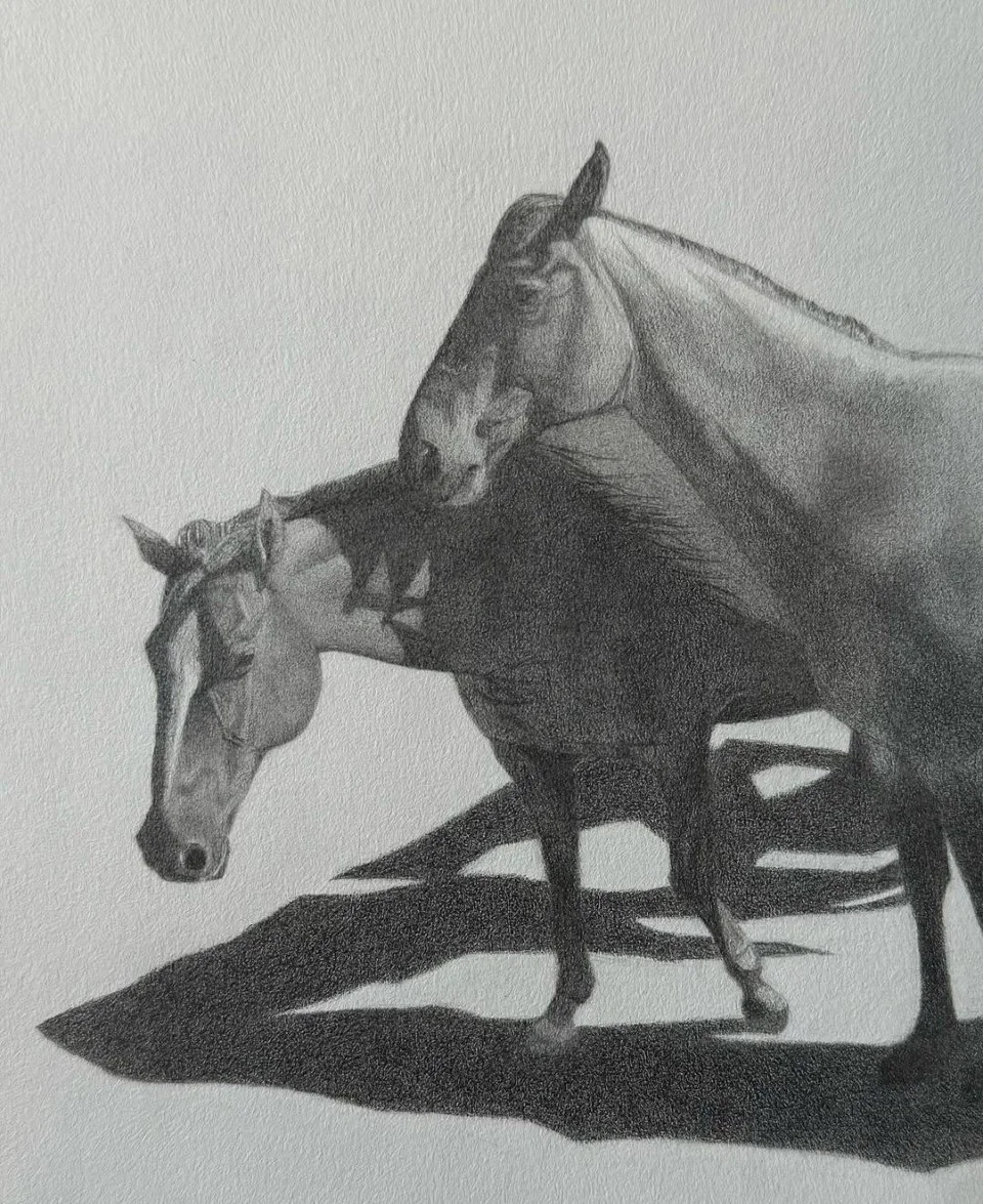 The friends- horse sketch