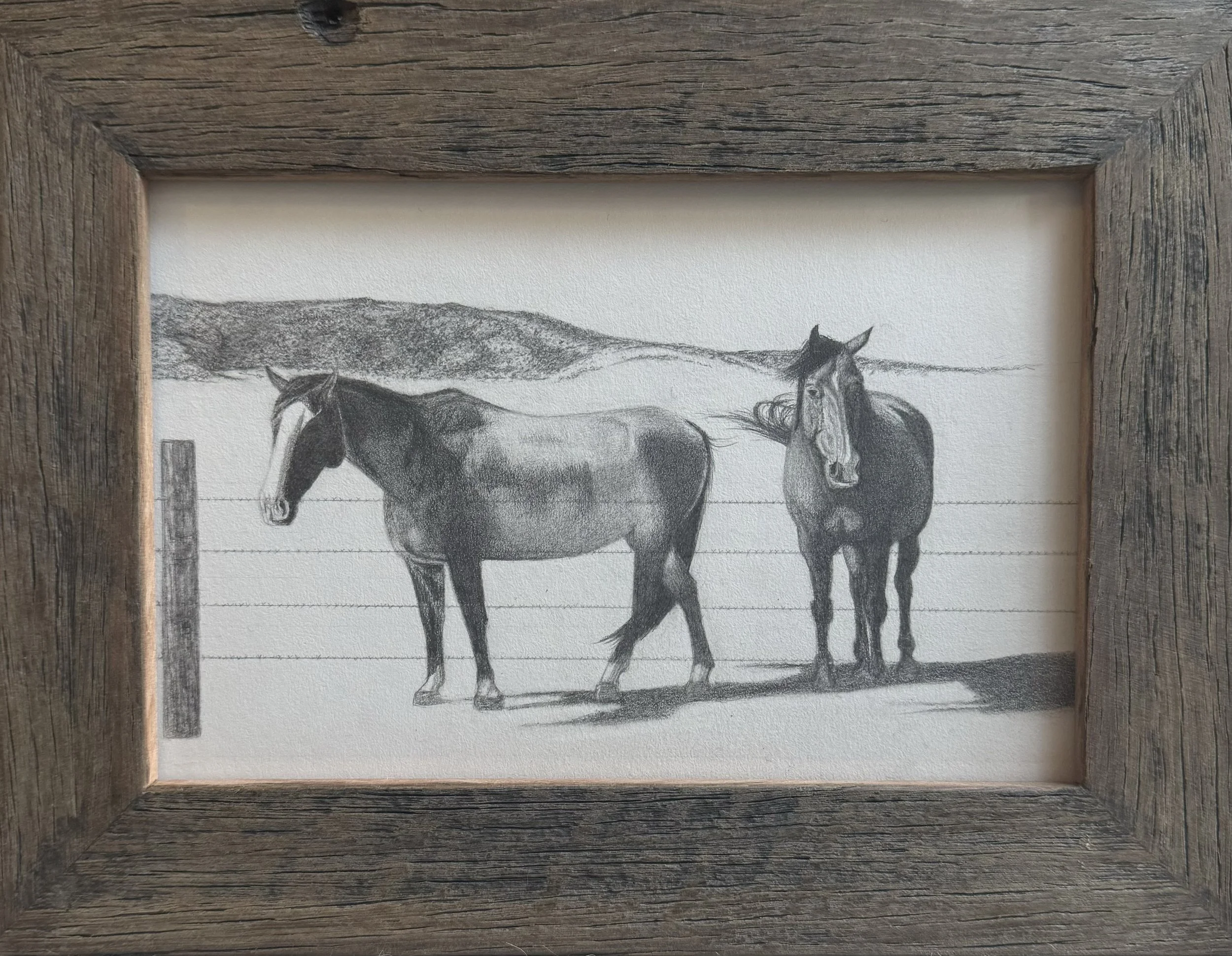 Horses on the fence line
