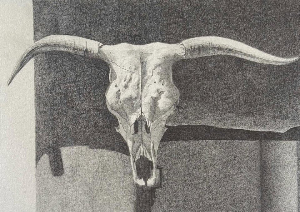 Skull on adobe wall