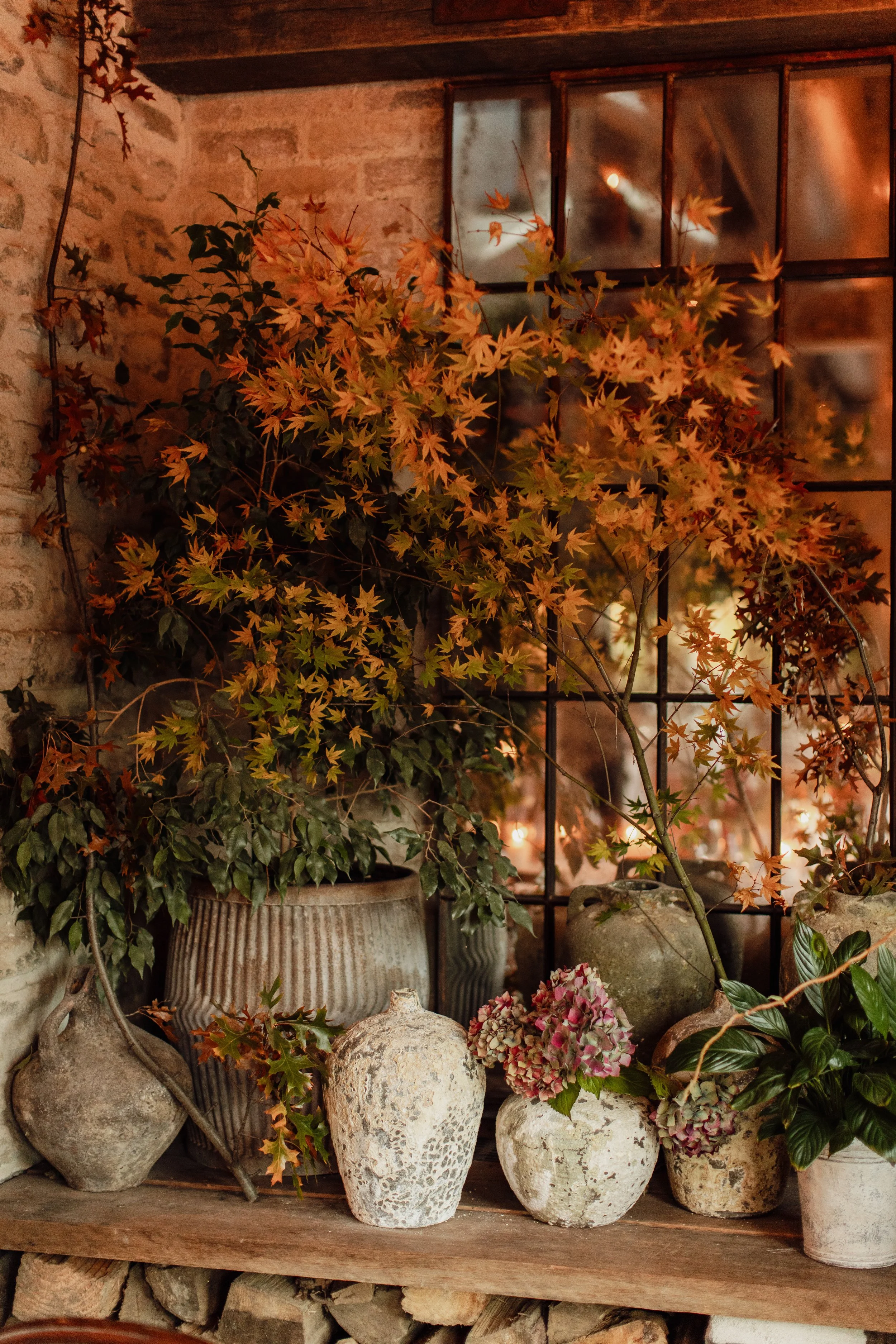 A collection of autumn-themed potted plants and flowers arranged on a wooden shelf against a brick wall, with a window with frosted glass in the background.