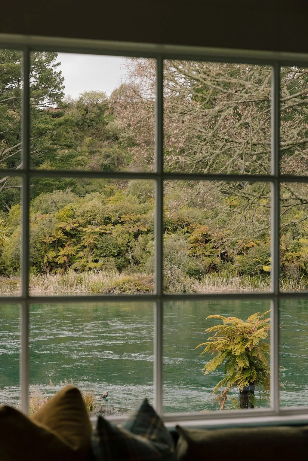 View of lush green trees and a river, seen through a window with a grid pattern, with furniture or cushions in the bottom foreground.