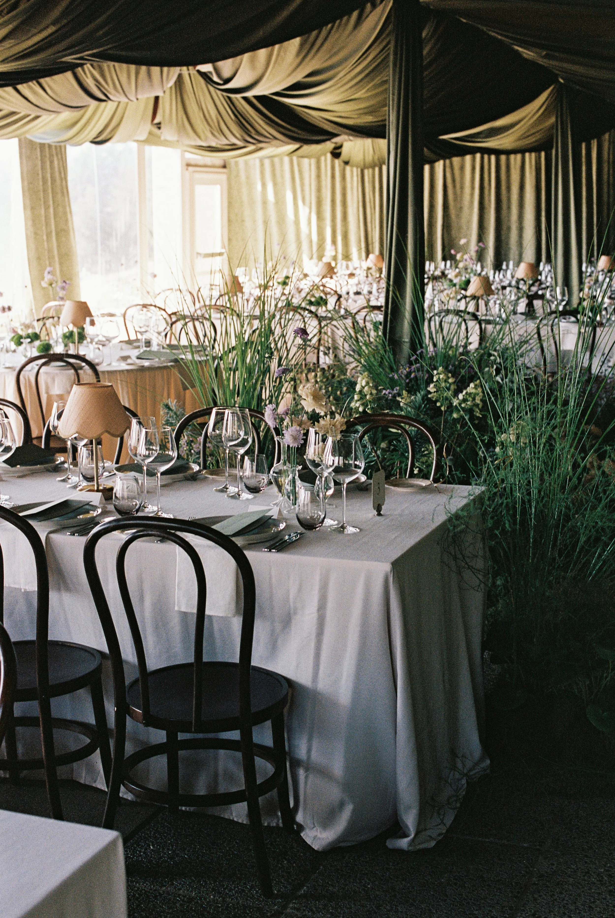 Interior of a decorated dining area with round tables covered in white tablecloths, set with glassware, and surrounded by black chairs. There are tall green plants and flowers as a centerpiece. The ceiling has draped black and white fabric, and the background features large windows with beige curtains.