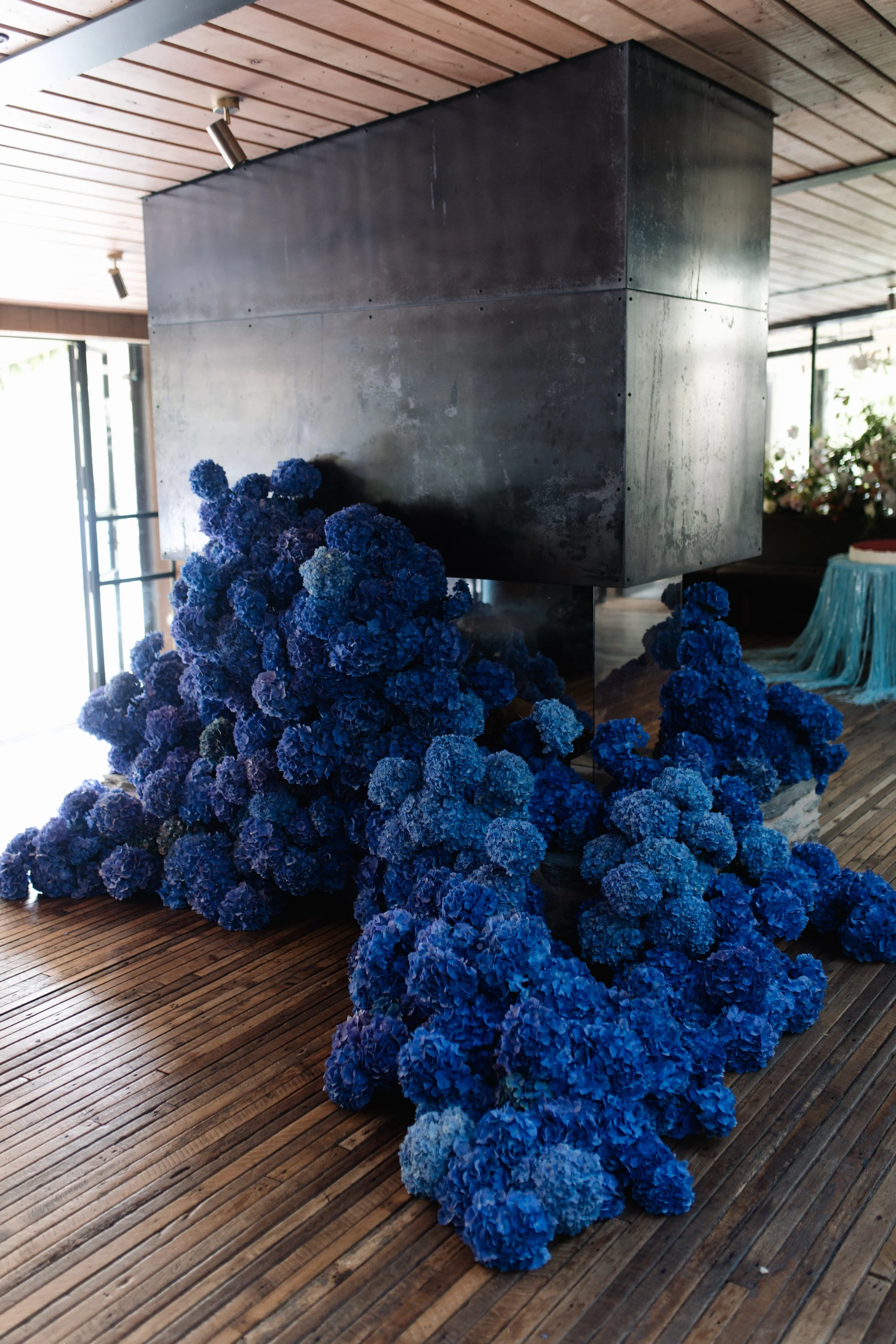 Interior of a room with a large metal structure and large clusters of blue hydrangea flowers on a wooden floor.
