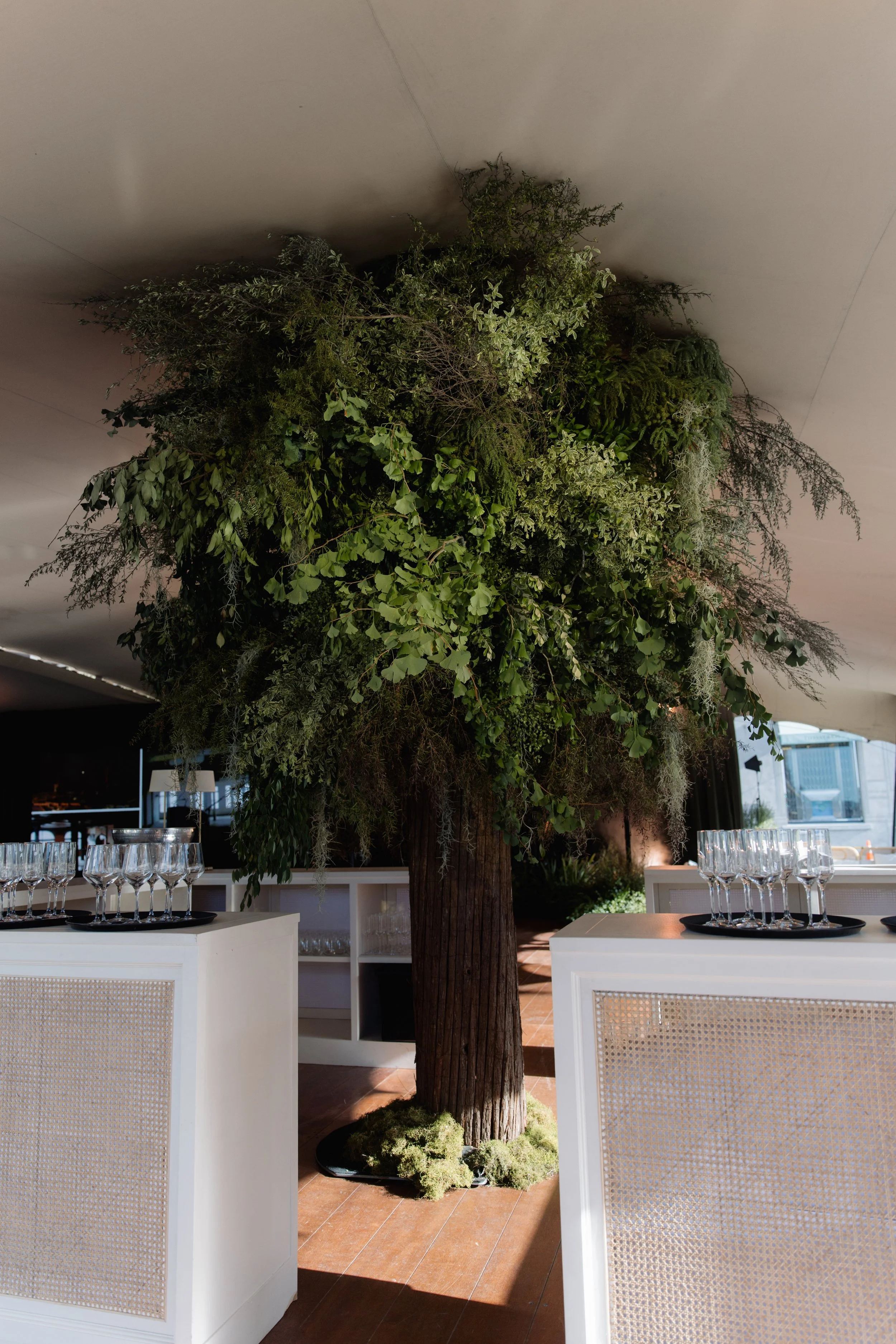 Indoor decor featuring a large artificial tree with lush green foliage, surrounded by white counters with glasses and trays on top, in a space with large windows and modern furniture.