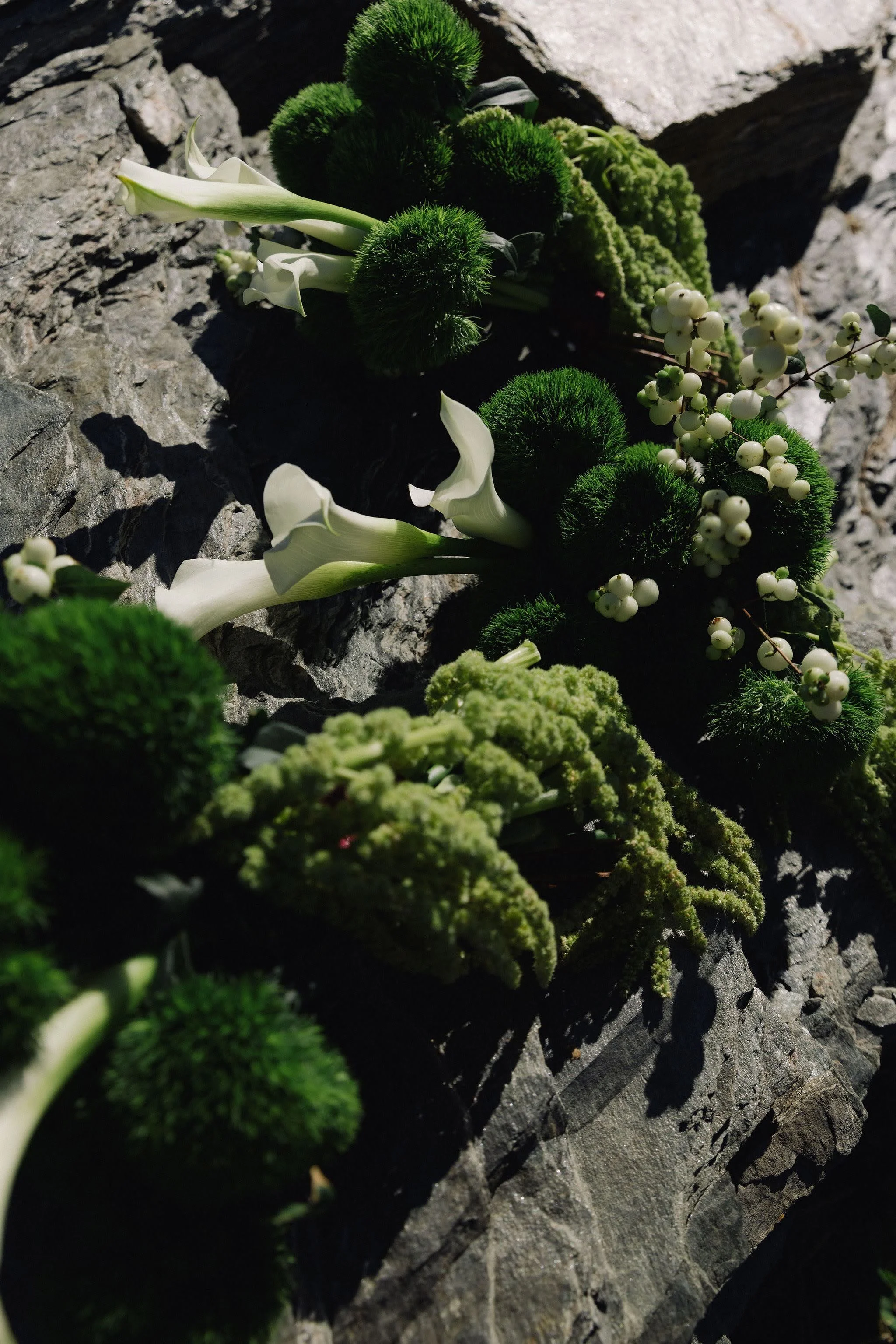 Close-up of a natural arrangement of green moss, white flowers, and small white berries on a rough gray rock surface.