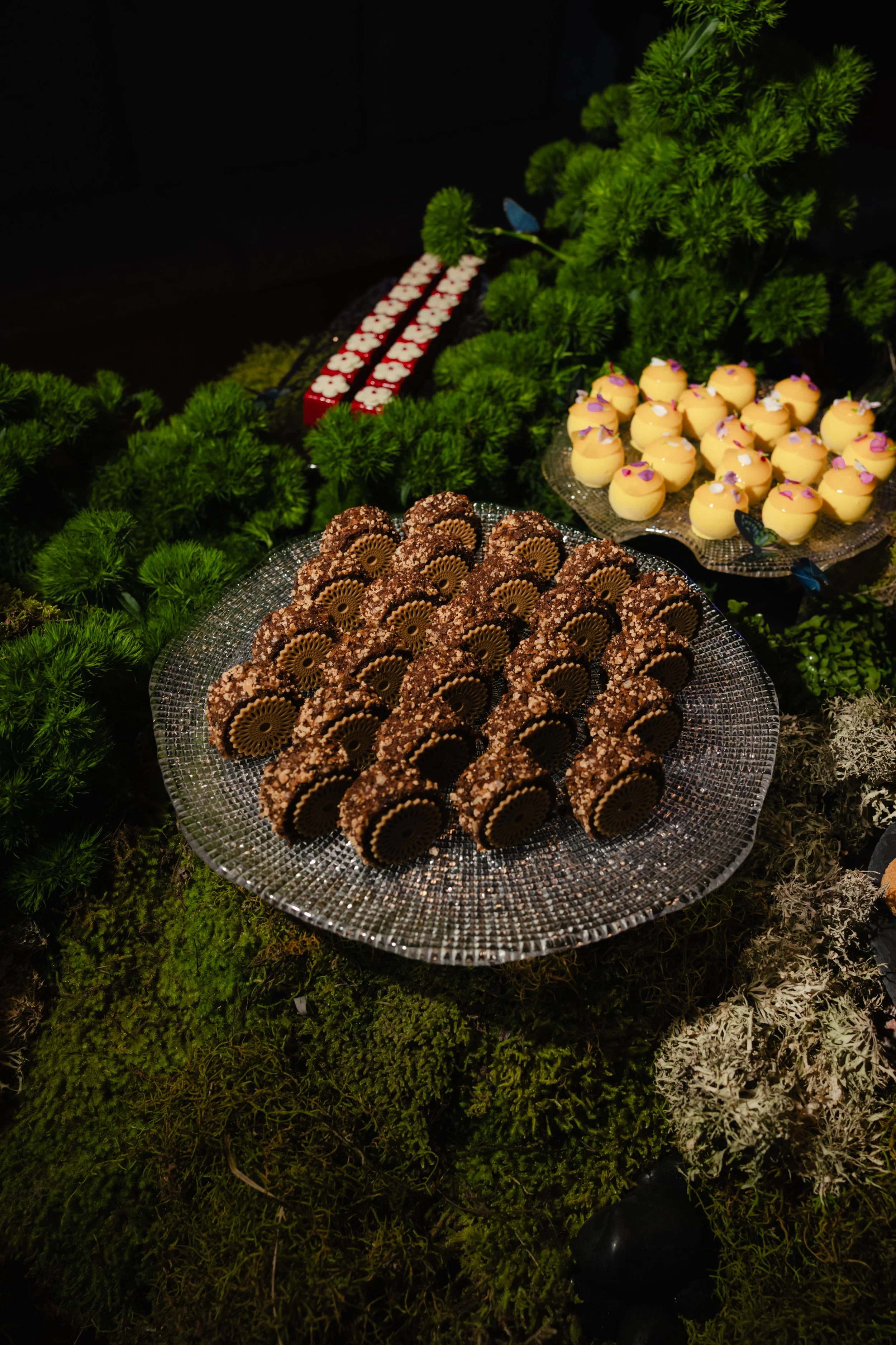 A display of assorted desserts on glass trays surrounded by green plants, with dark background lighting.