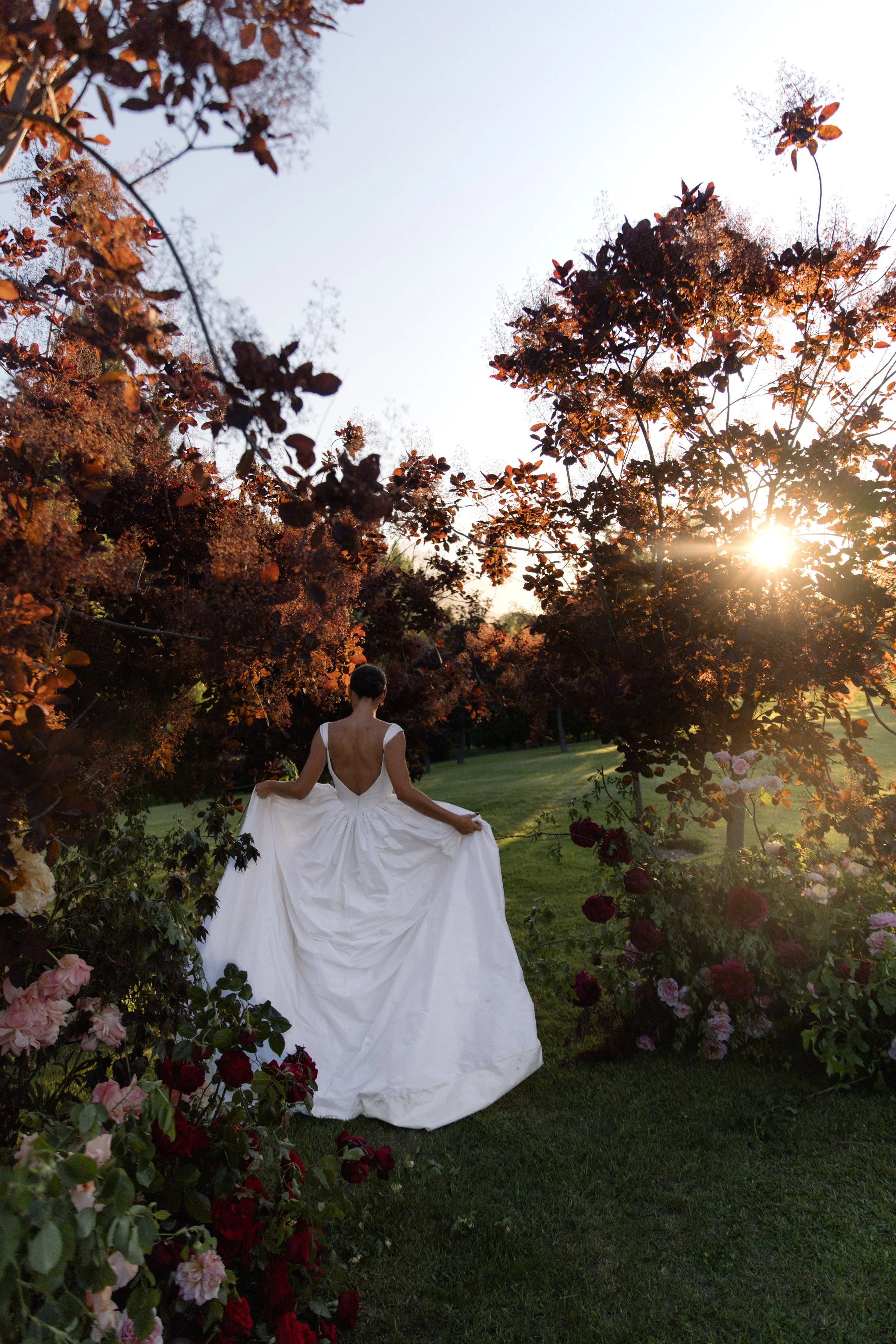 A woman in a white dress walking through a garden surrounded by blooming roses and foliage, with the sun setting in the background.