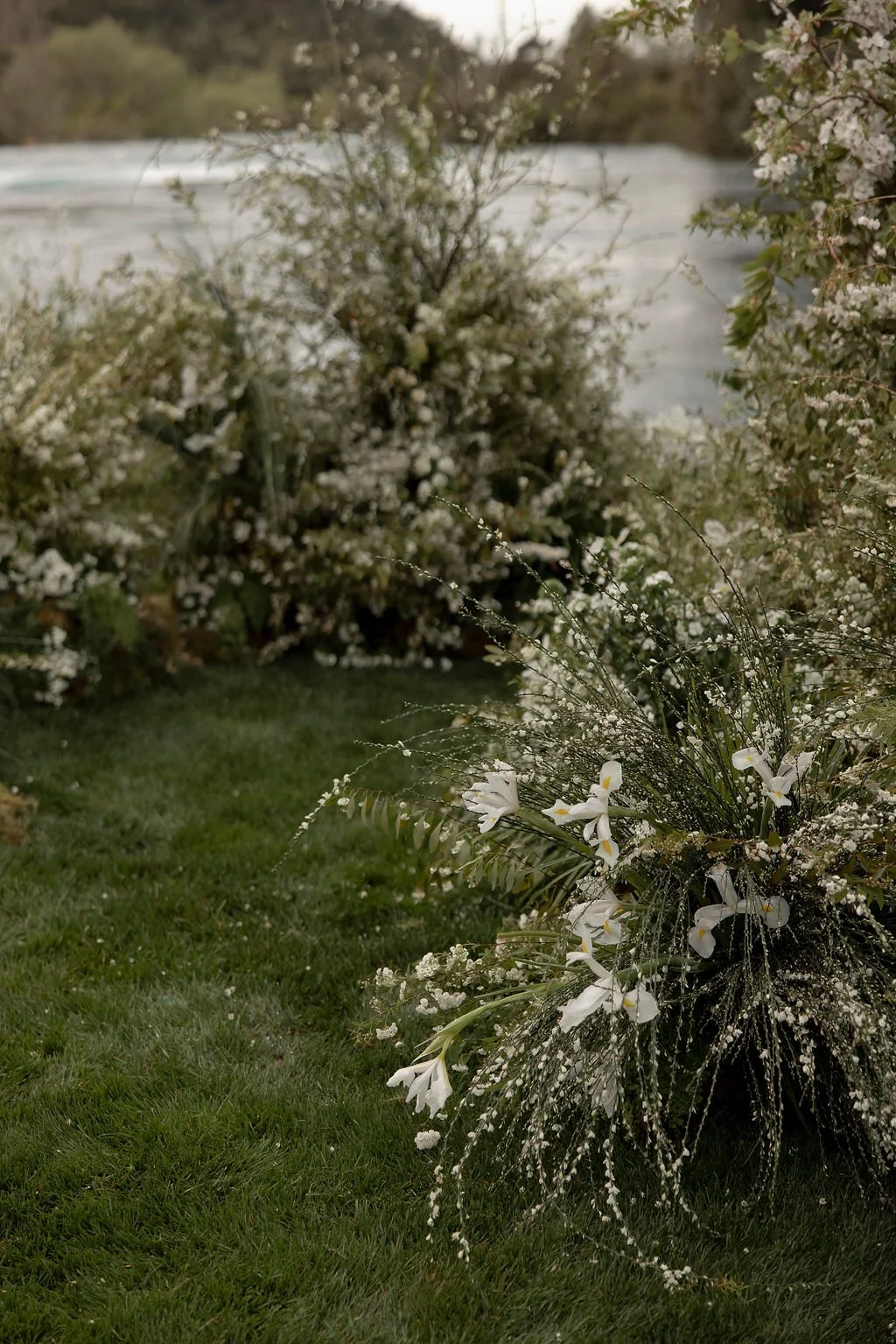Spring flowers and bushes by a riverbank with green grass in the foreground.