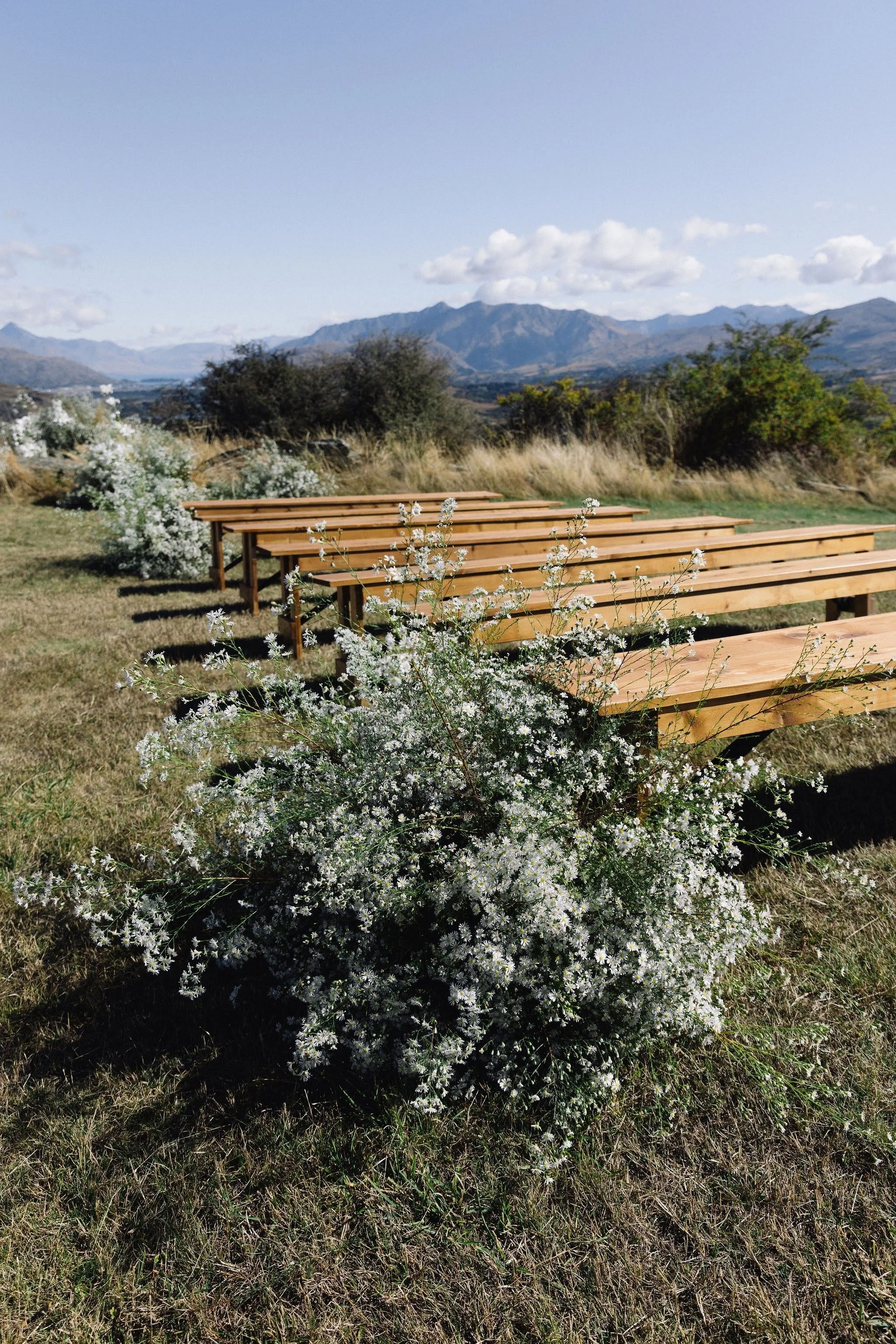 Outdoor landscape with wooden benches, white flowering bushes, green grass, and mountains in the background under a partly cloudy sky.