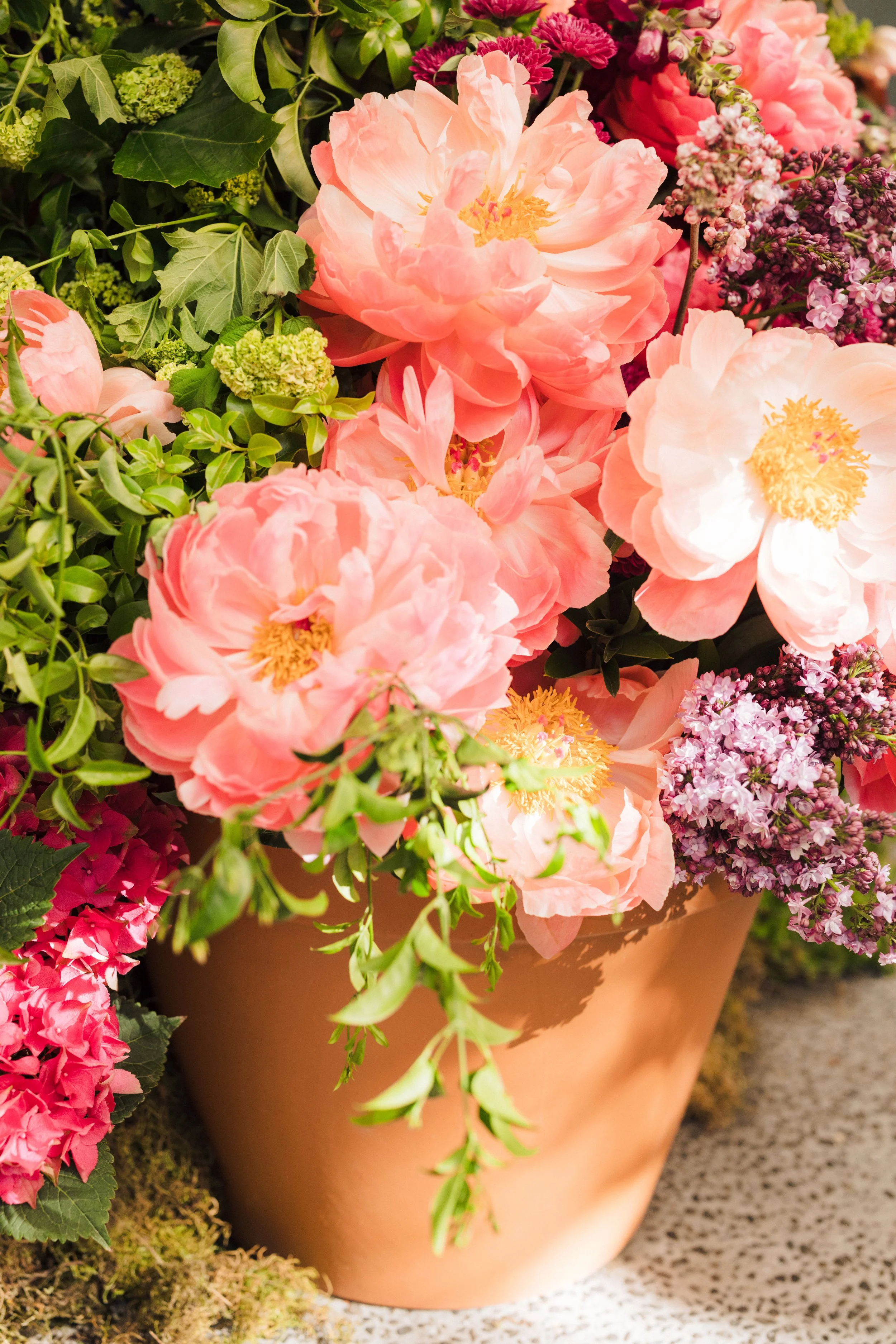 Pink peonies and purple and green flowers in a terracotta flower pot, outdoor setting.