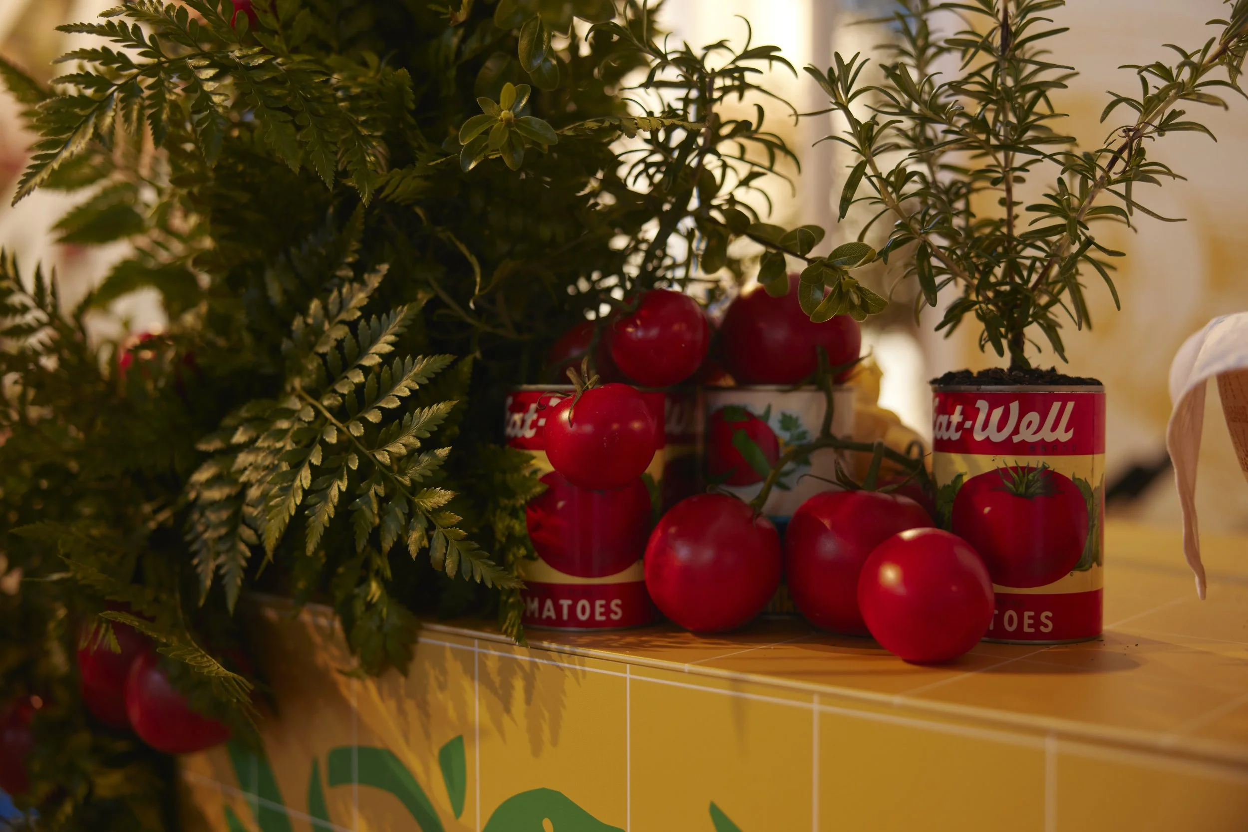 A collection of green plants and red tomatoes displayed on a table, with some tomatoes placed in cans labeled 'Pat. Well'.