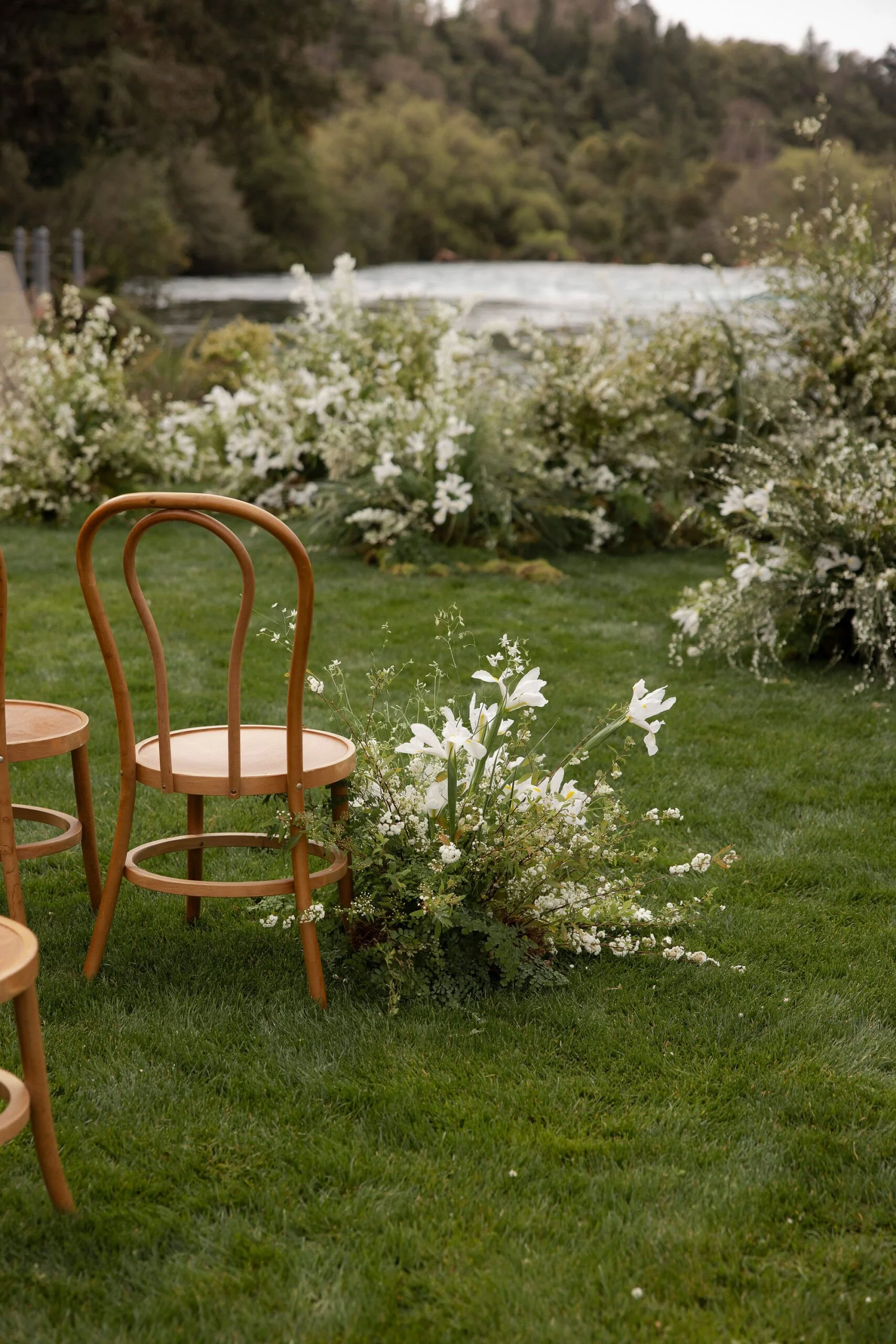 Empty wooden chairs in a lush green garden with white flowers, overlooking a river and forested hills.