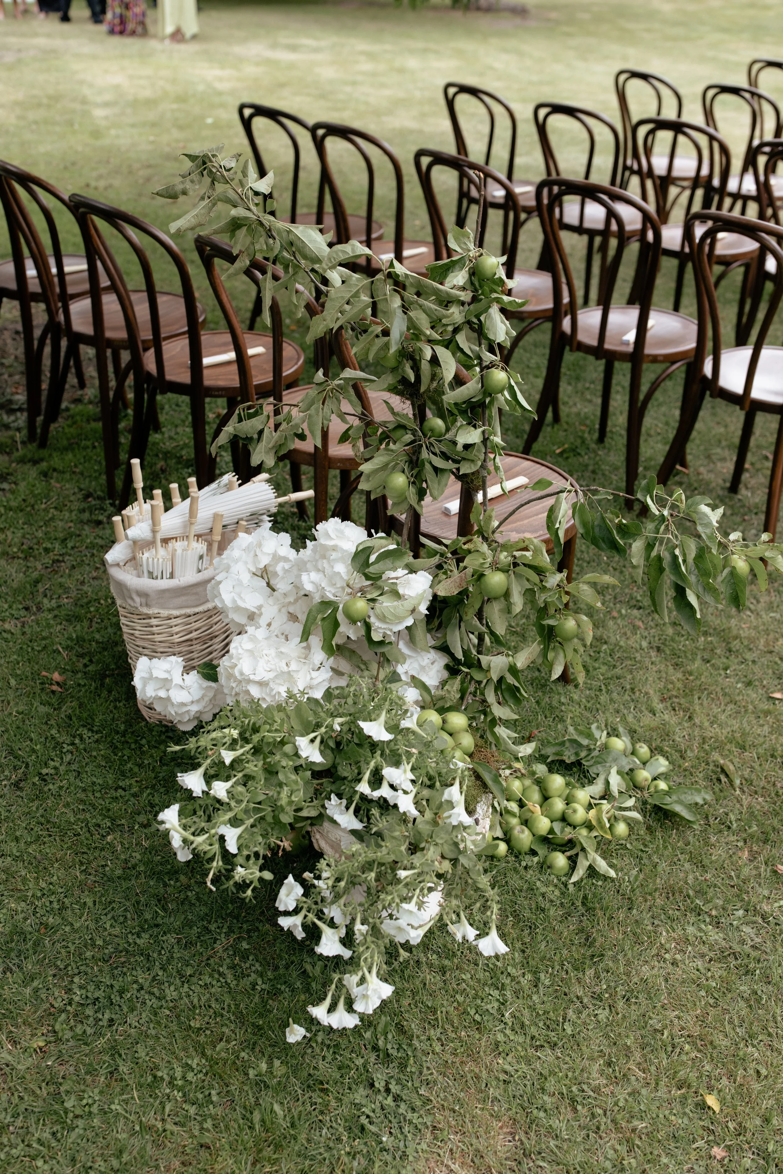 Empty wooden chairs arranged outdoors on a grassy area, decorated with greenery and apple branches, with white flowers and umbrellas in a basket in the foreground.