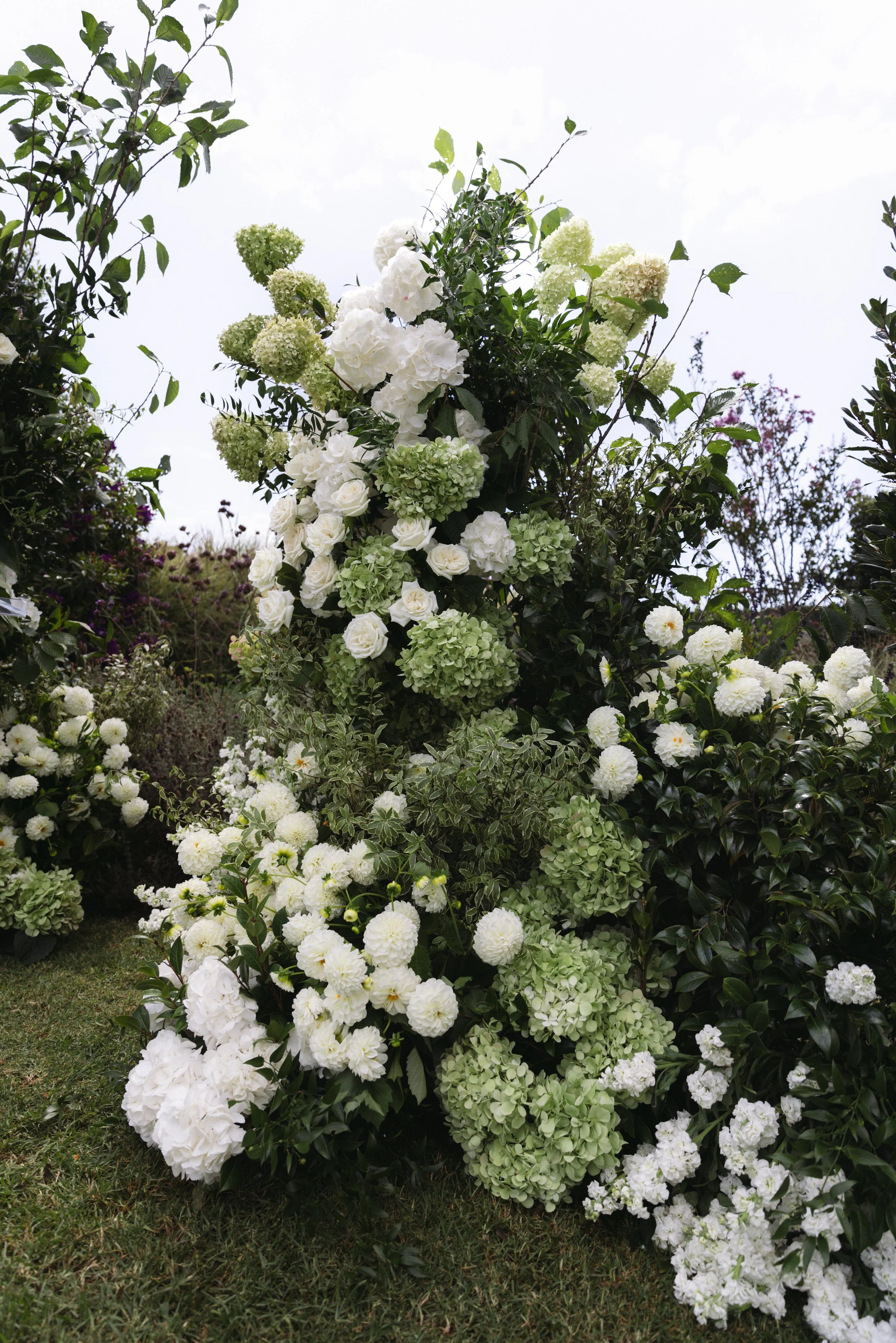 A large arrangement of white and pale green hydrangea flowers with green leaves, set outdoors on grass against a cloudy sky.