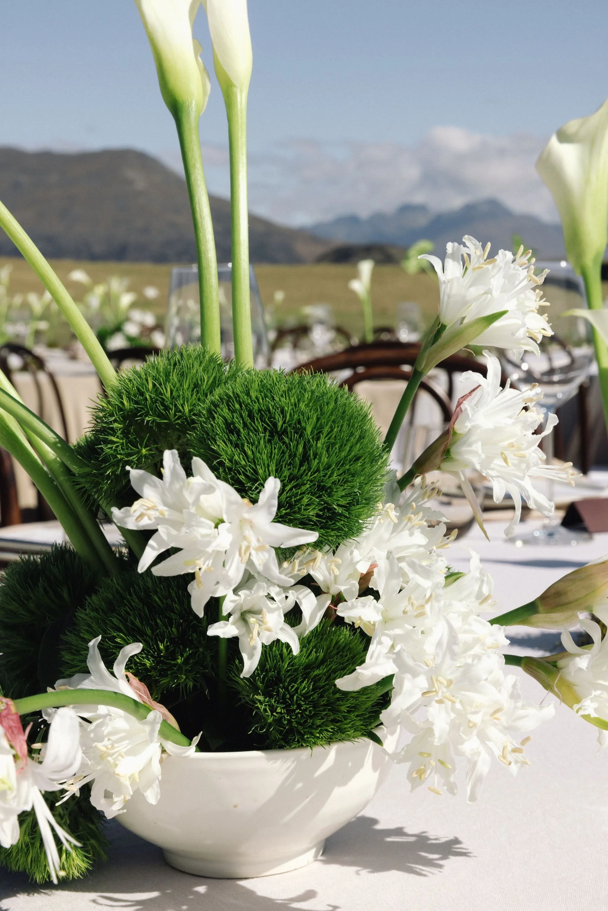 White flower arrangement in a white bowl with greenery, set outdoors on a sunny day with mountains in the background.
