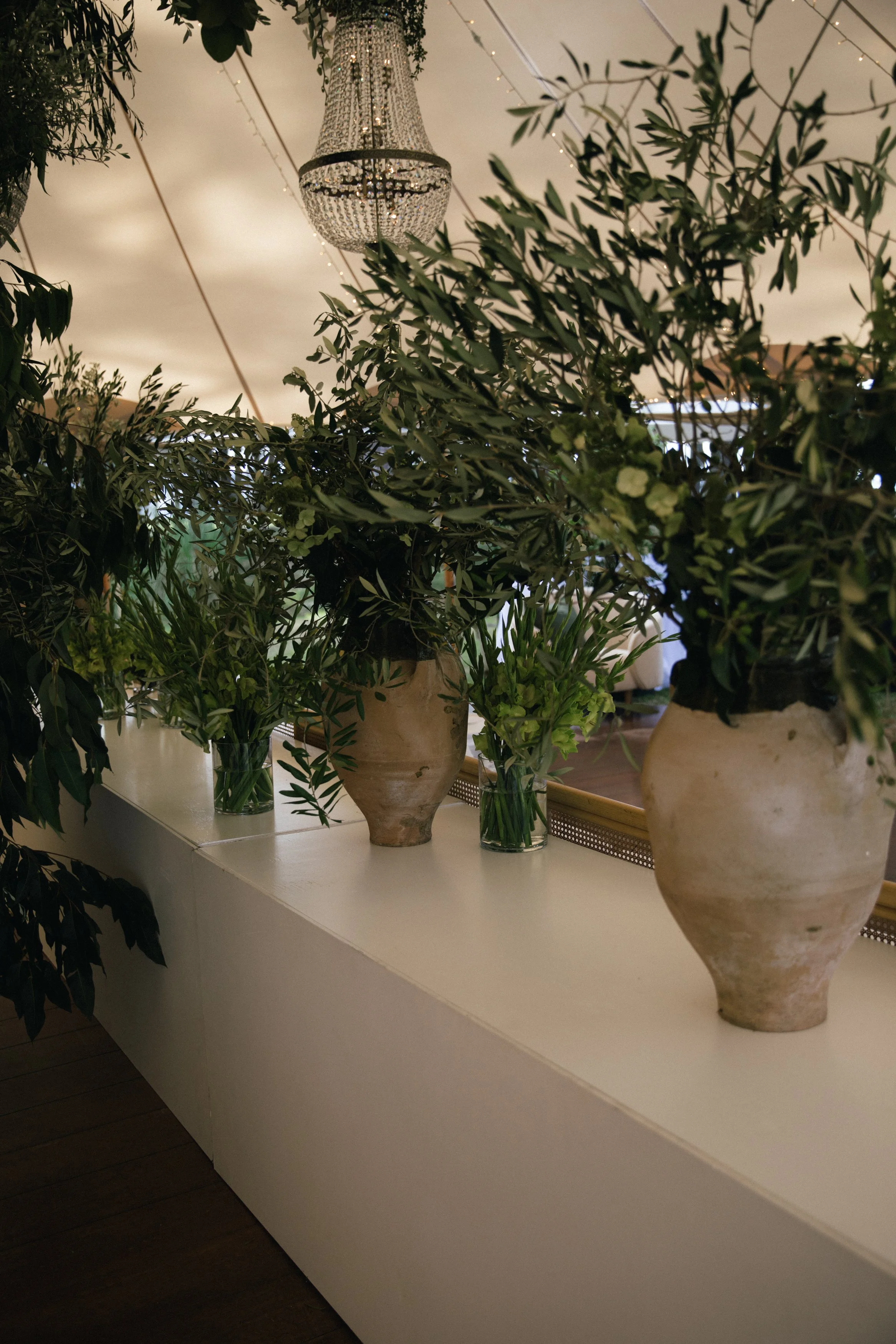 Various vases with green plants on a white shelf, with a crystal chandelier hanging from the ceiling and string lights in the background.