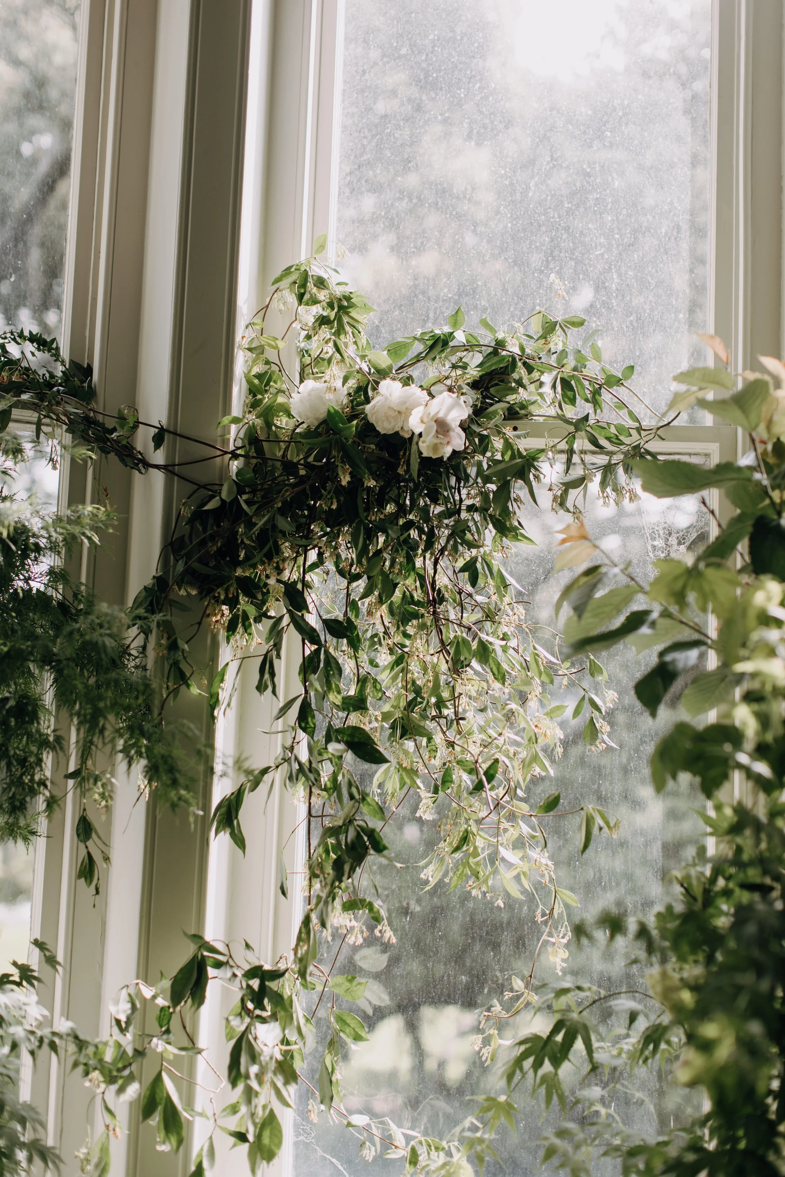 View through a window with outdoor scene slightly obscured by dirt and condensation, lush green plants with white flowers inside the house.