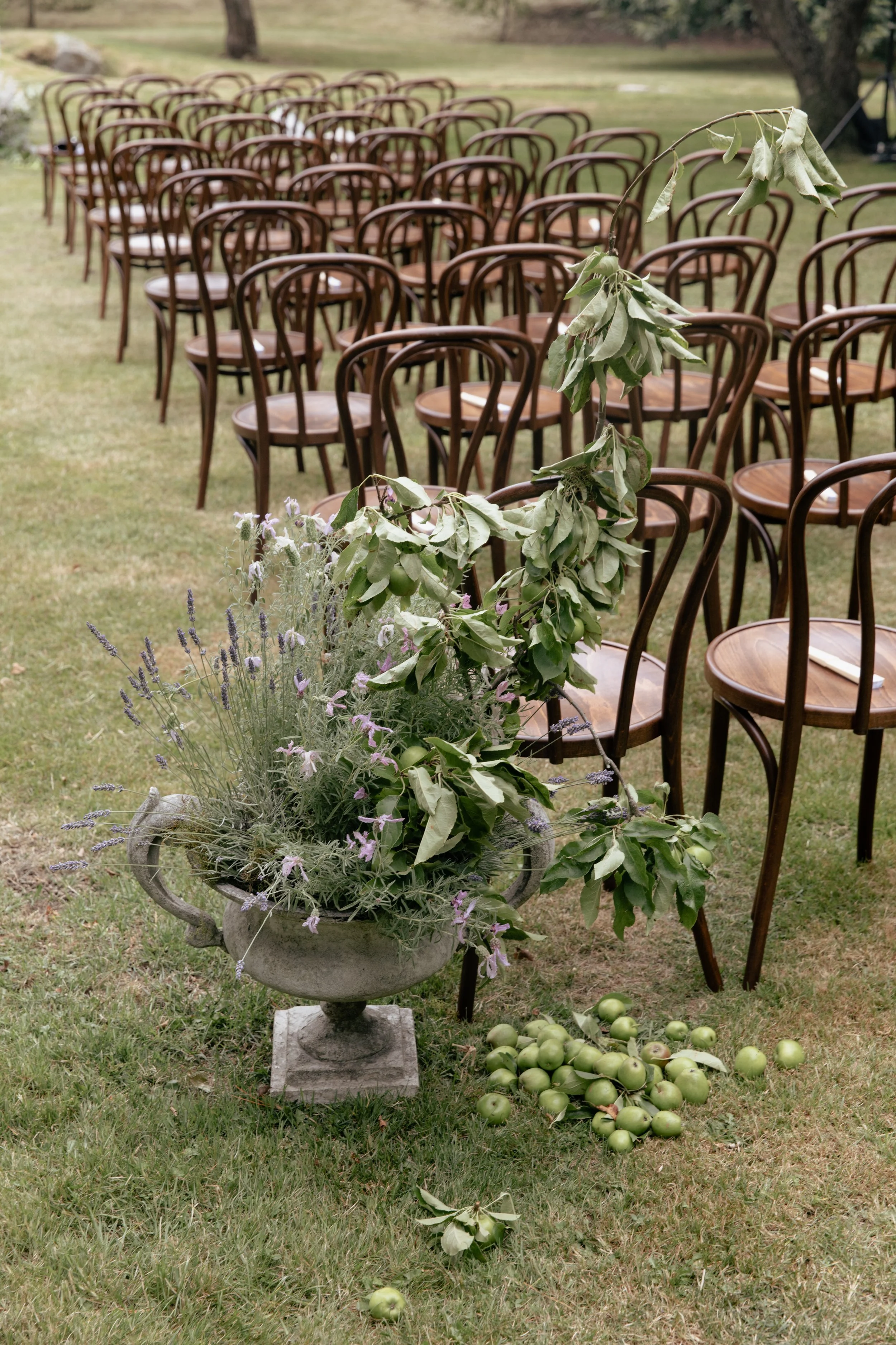 An outdoor wedding setup with rows of wooden chairs and a floral arrangement on a stone pedestal, and apples scattered on the grass.
