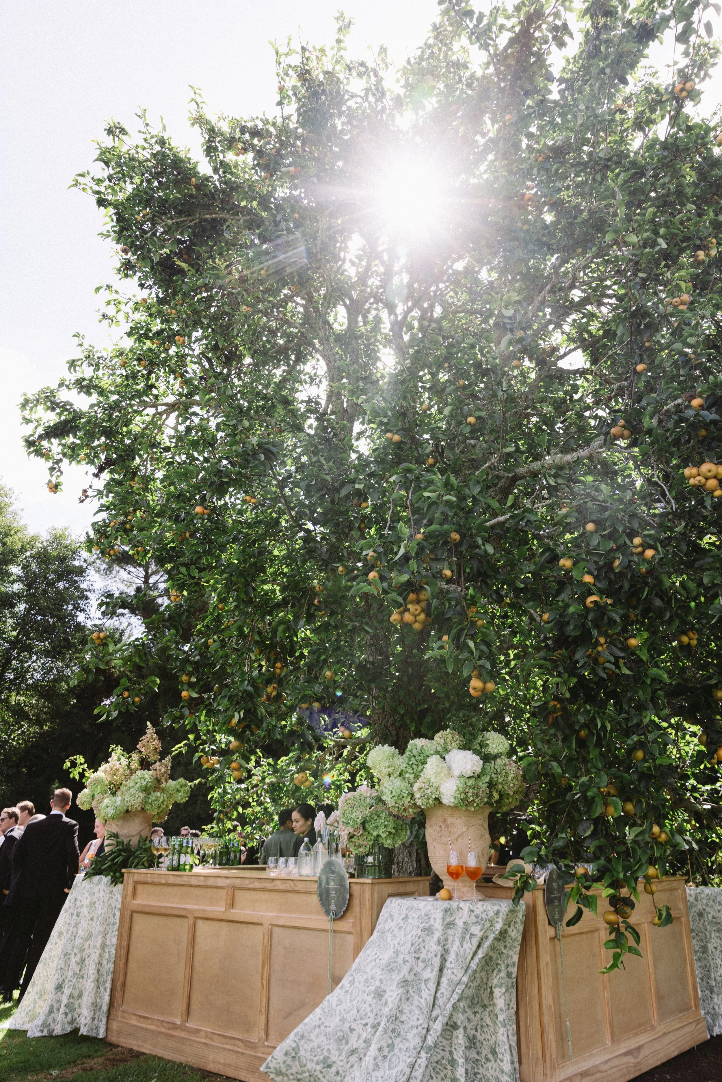 An outdoor event setup with a large tree bearing yellow fruit, sunlight shining through the leaves, and a decorated wooden bar topped with white hydrangea flowers and glasses filled with orange beverages; guests in formal attire socializing nearby.