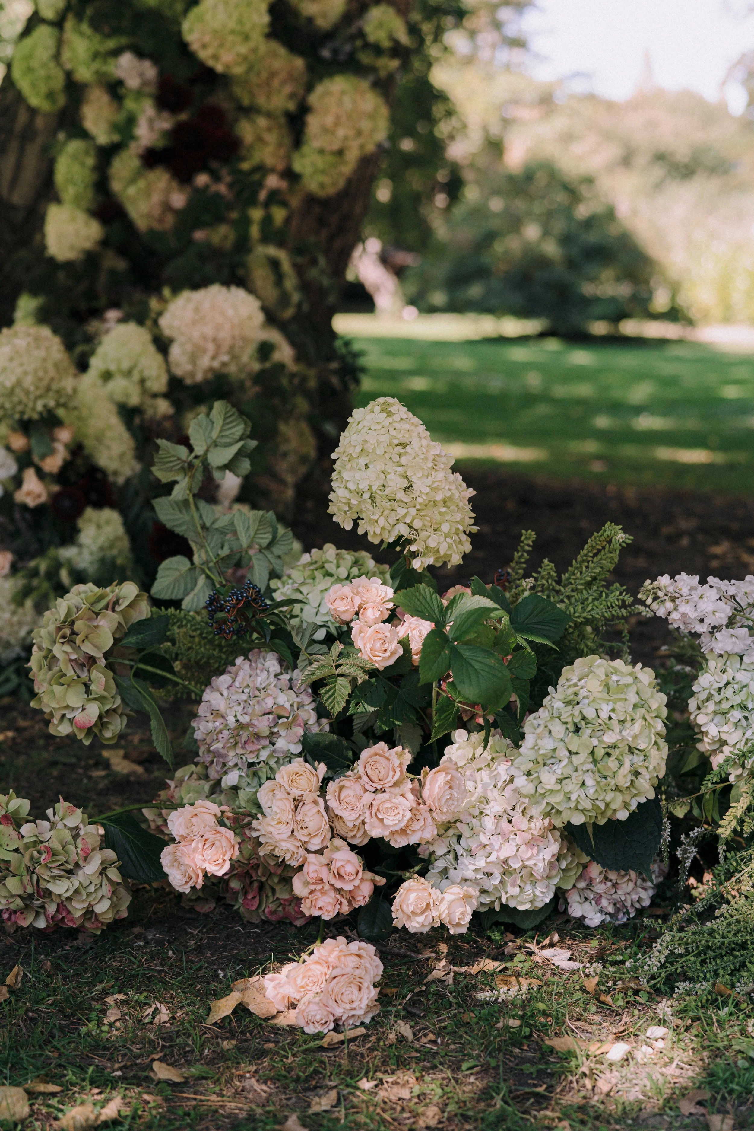 Cluster of white and pale pink hydrangea flowers and roses on the ground and attached to a bush, in a garden setting with grass and trees in the background.