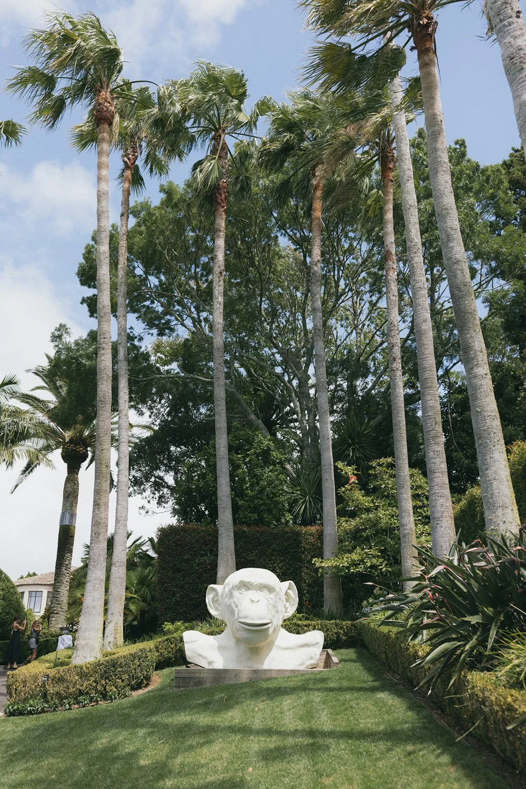 A large white sculpture of a monkey's head on a lawn, surrounded by tall palm trees and other greenery during the daytime.