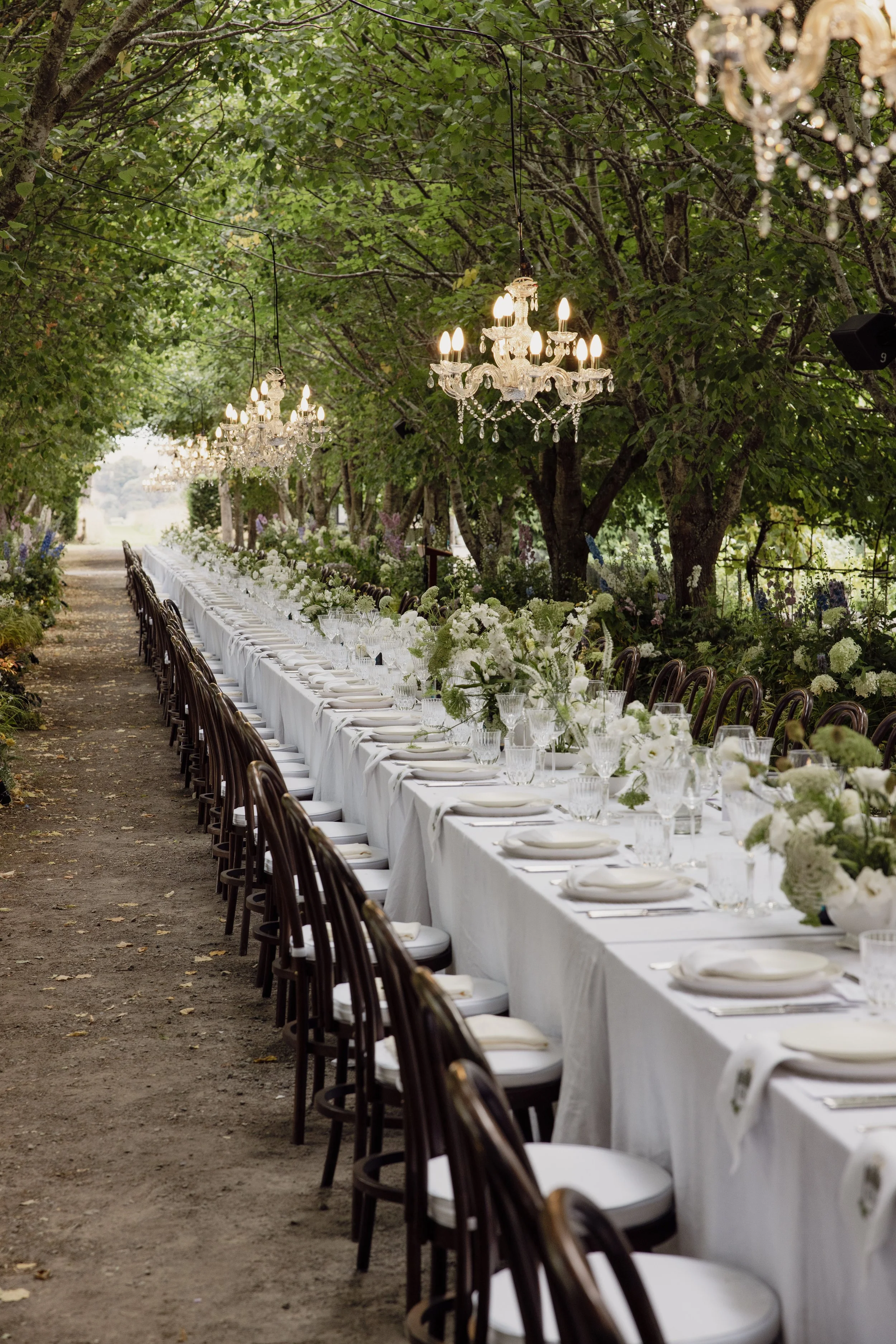 Elegant outdoor dining setup with a long white tablecloth and white plates, adorned with white and green floral arrangements. The setting is in a canopy of trees with chandeliers hanging overhead, creating a sophisticated ambiance.