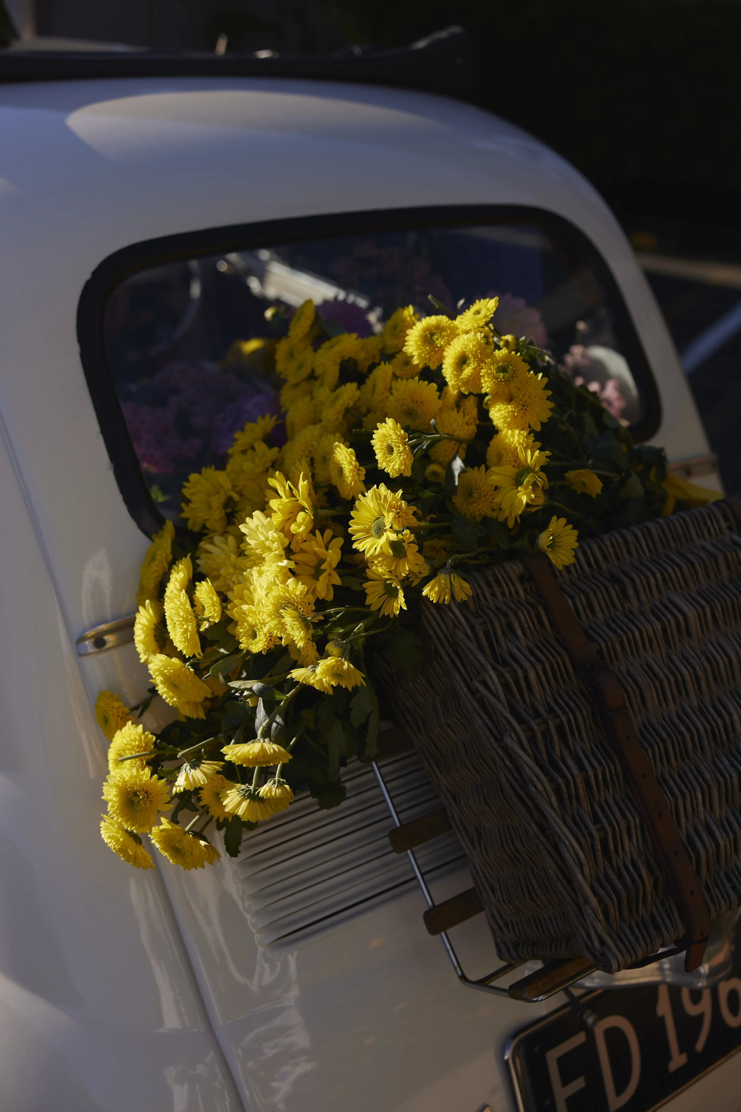 Yellow flowers in a wicker basket attached to the front of a white vehicle, with a partially visible license plate ED 19.