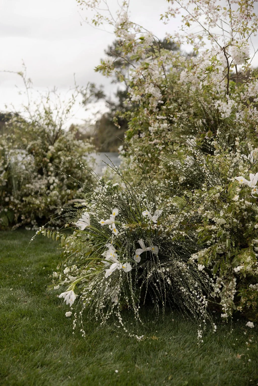 A blooming garden with white flowers, including small blossoms and larger white flowers, set against a background of trees and a cloudy sky.