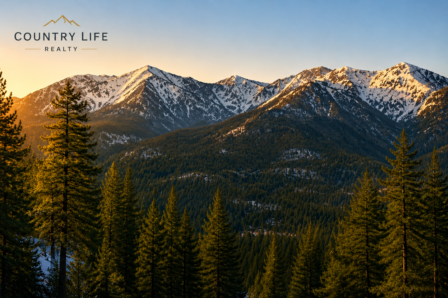 Sunset over snow-capped mountain peaks with a forest of evergreen trees in the foreground and the logo 'Country Life Realty' in the top left corner.