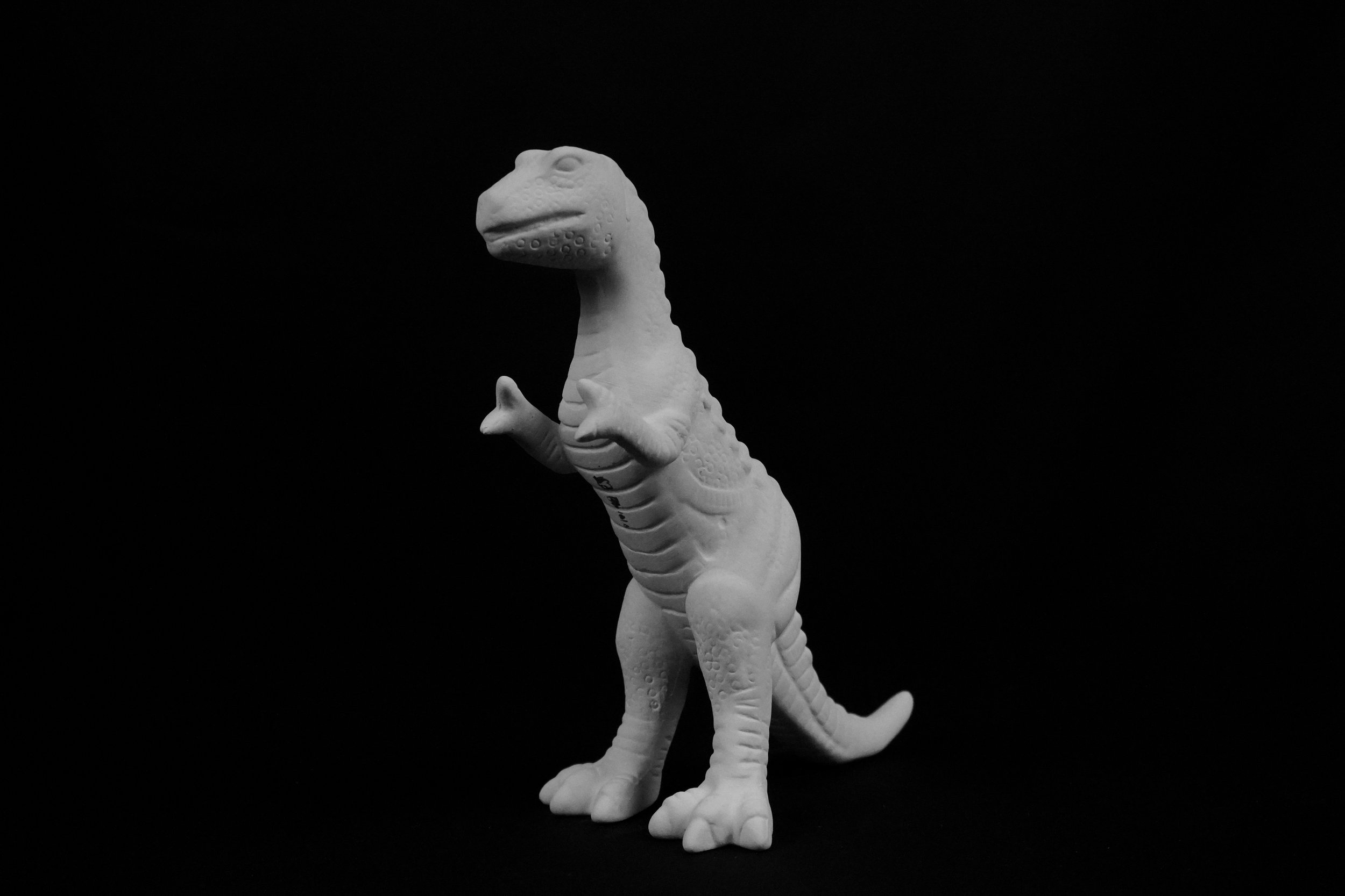 DSC00345.JPG