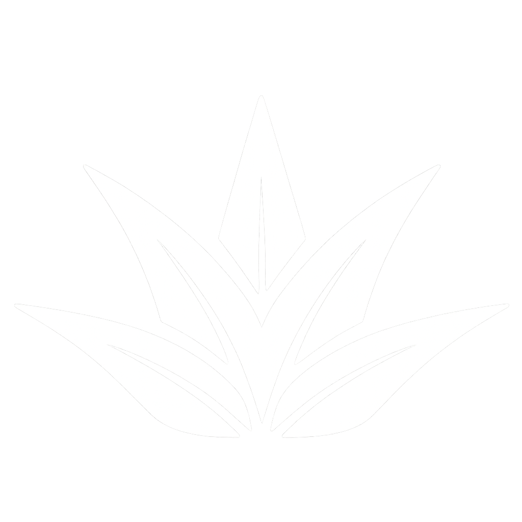 Black and white graphic of a stylized aloe vera plant with pointed leaves
