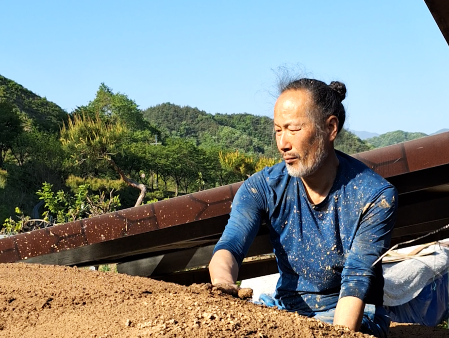 A man wearing a blue shirt is working with soil or dirt outdoors, with trees and mountains in the background.
