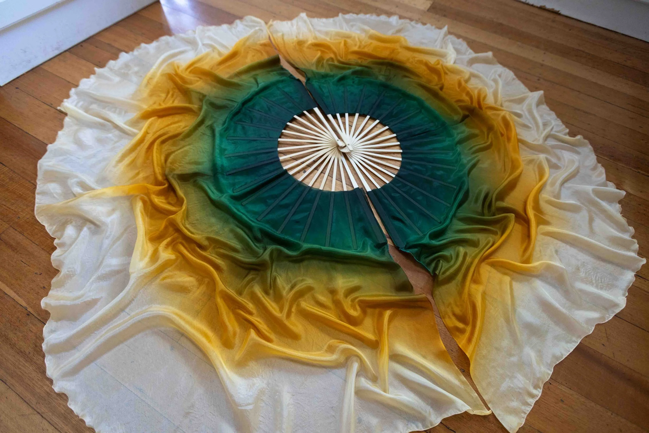 Champagne Sunflower