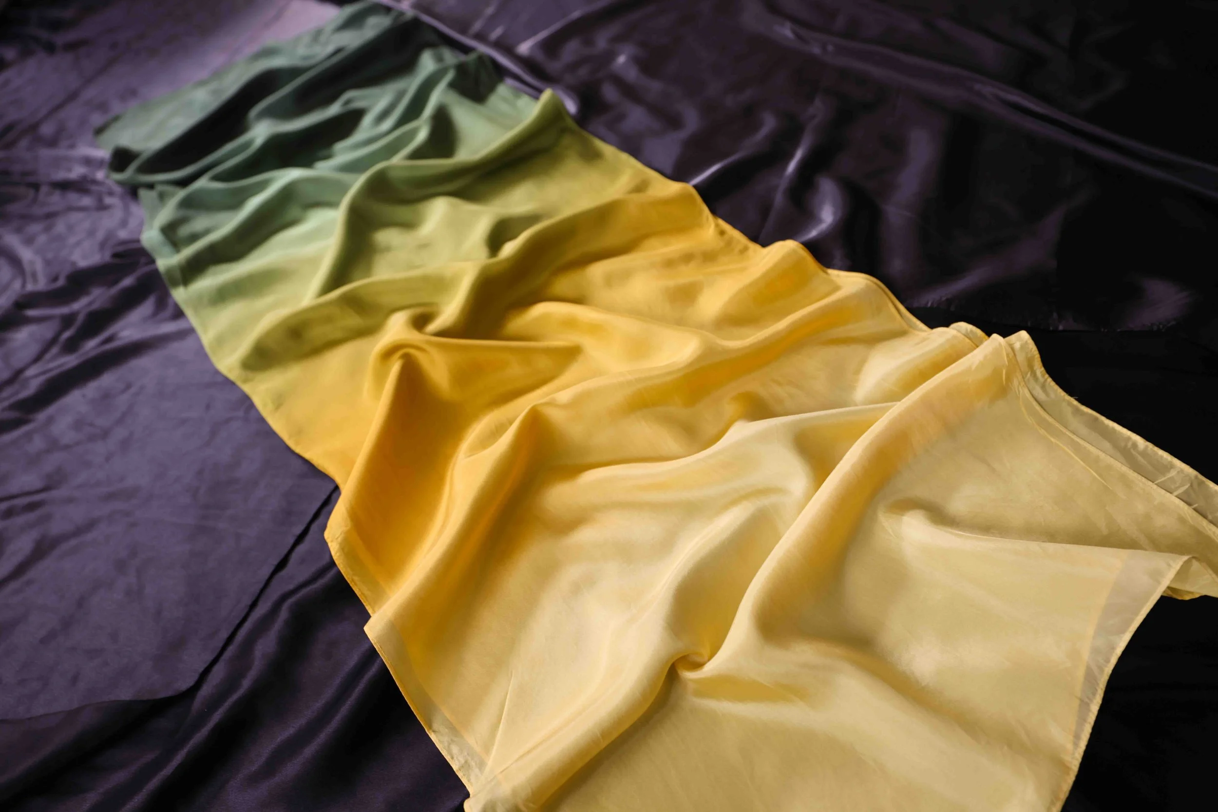CAMA9428.jpg