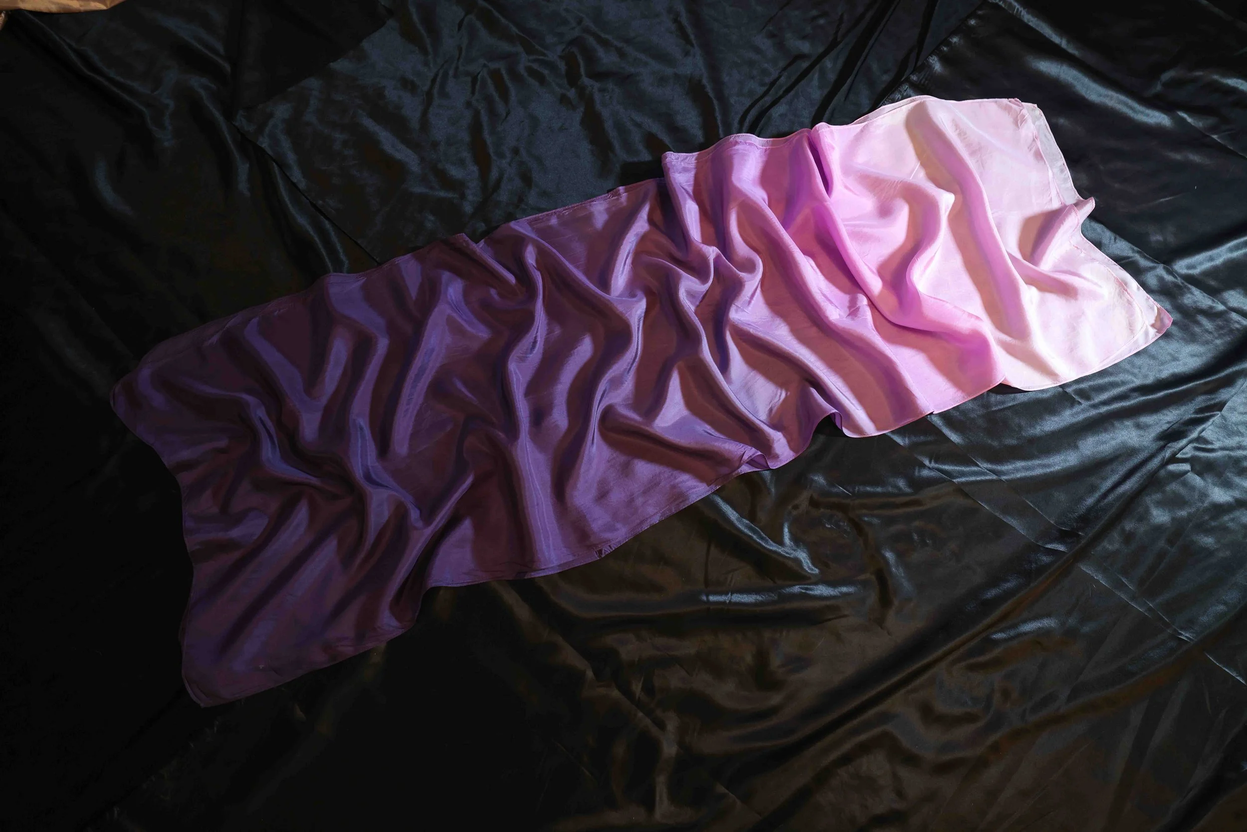 CAMA9377.jpg