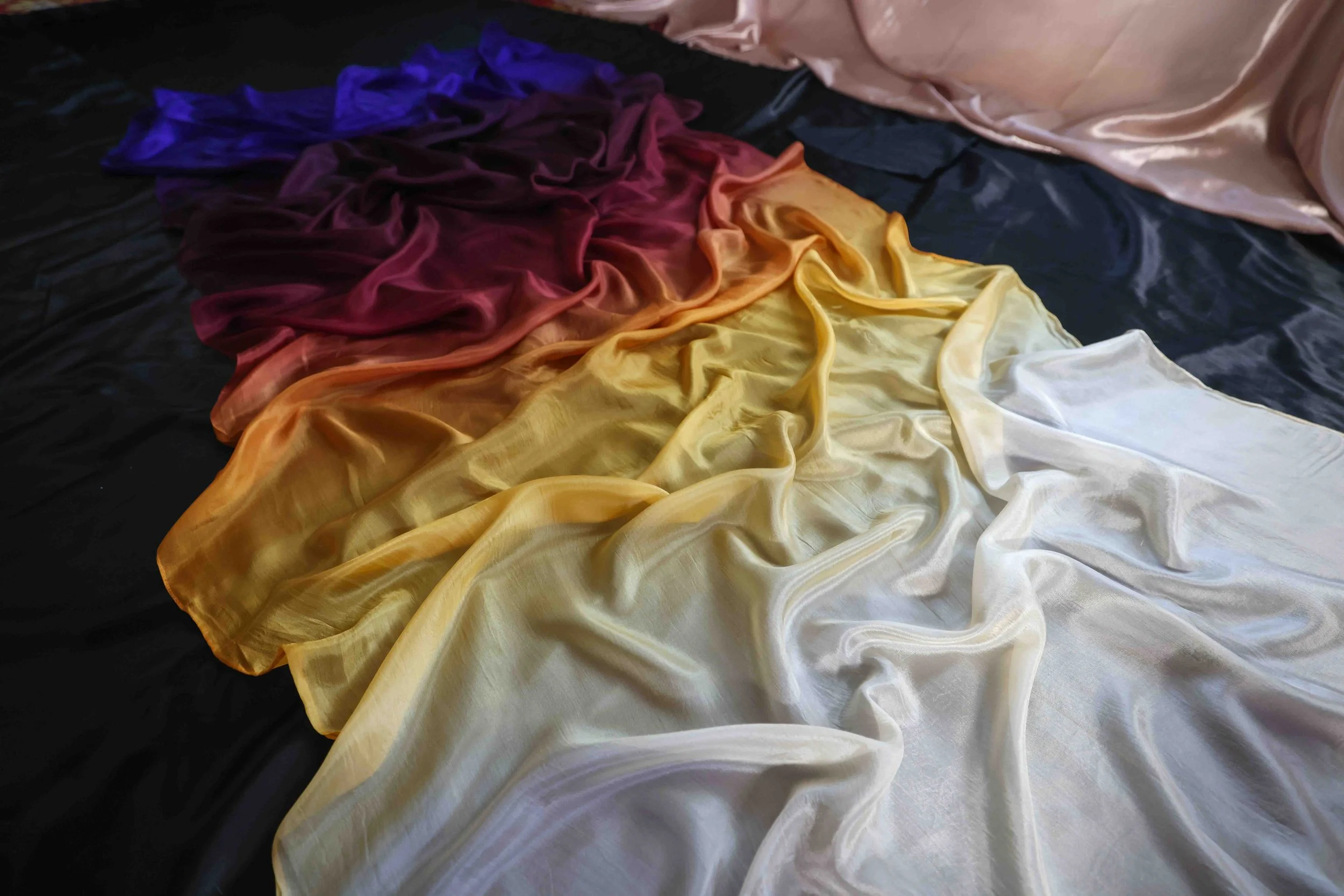 CAMA9354.jpg