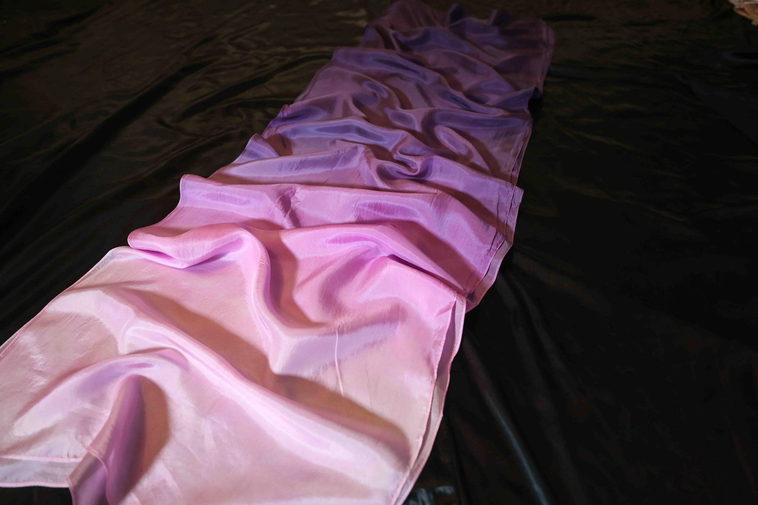 CAMA9379.jpg