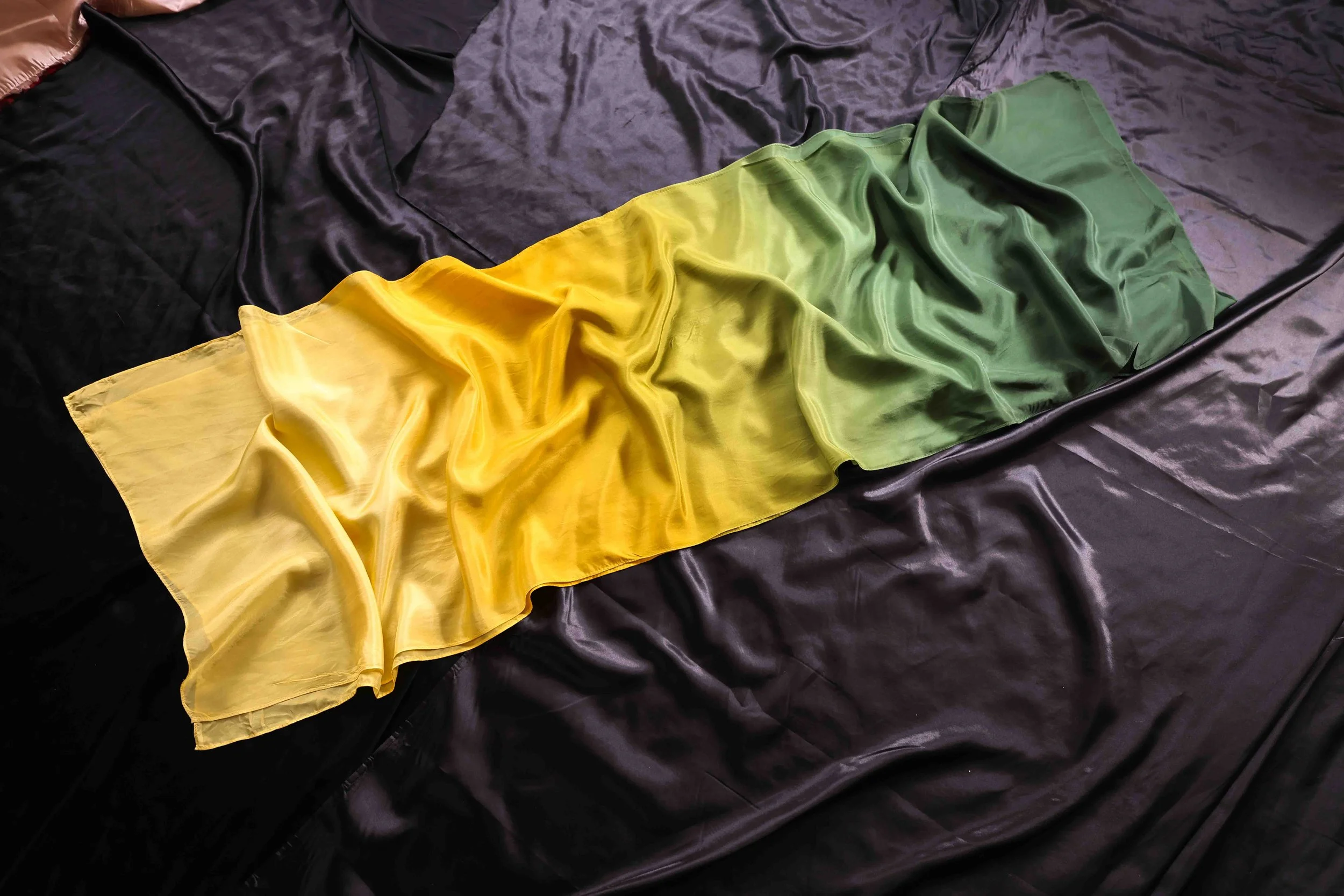 CAMA9426.jpg