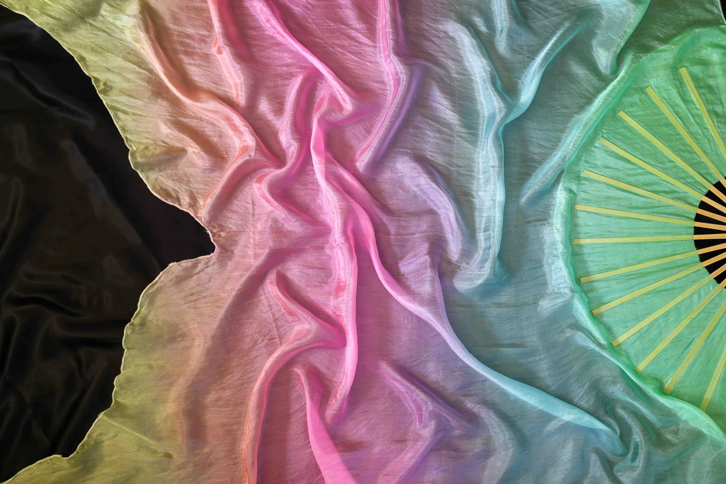 CAMA9451.jpg