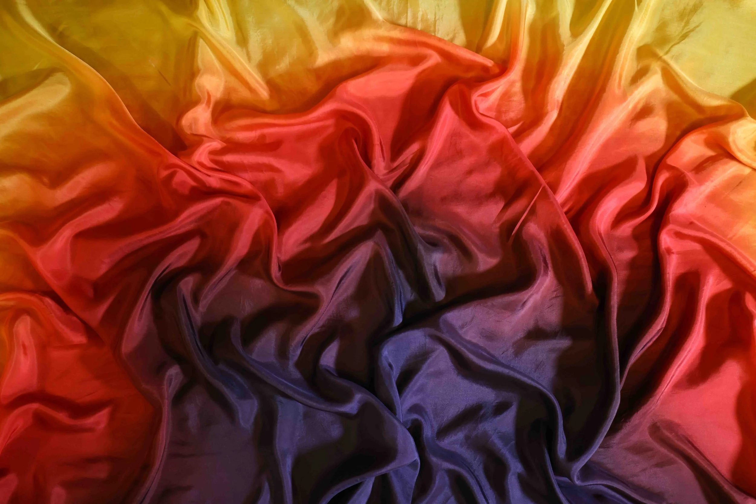 CAMA9403.jpg