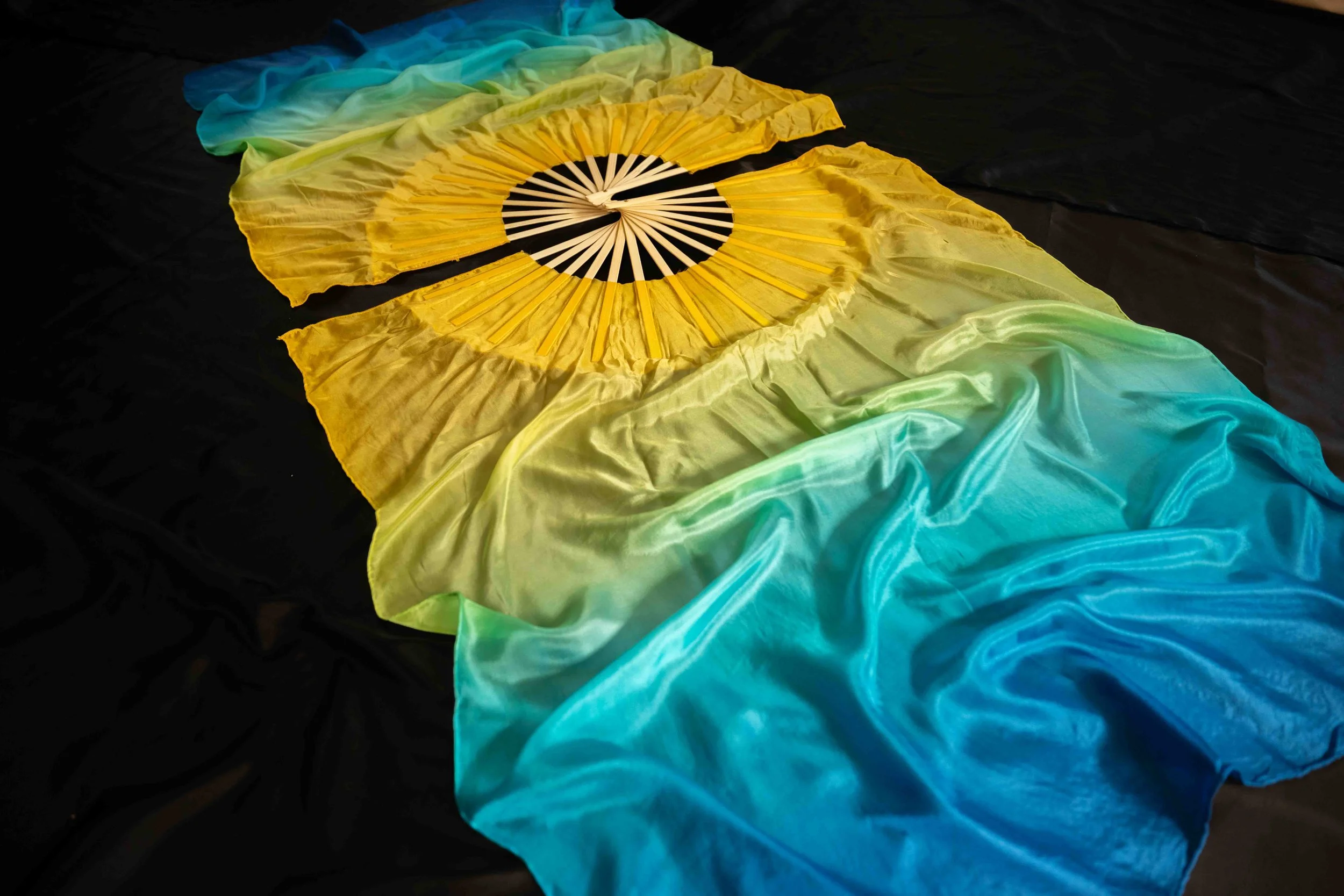 CAMA9239.jpg