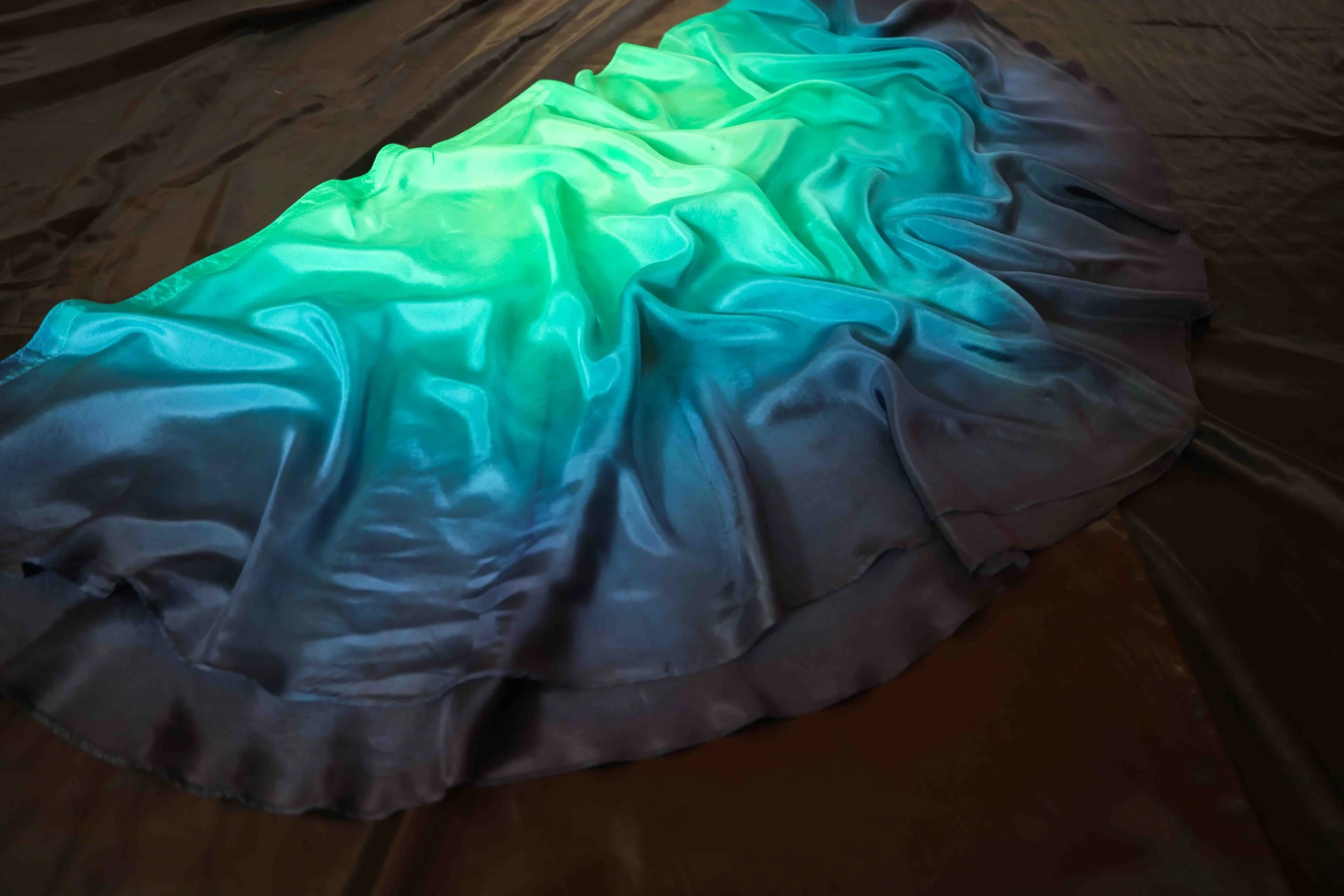 CAMA9341.jpg