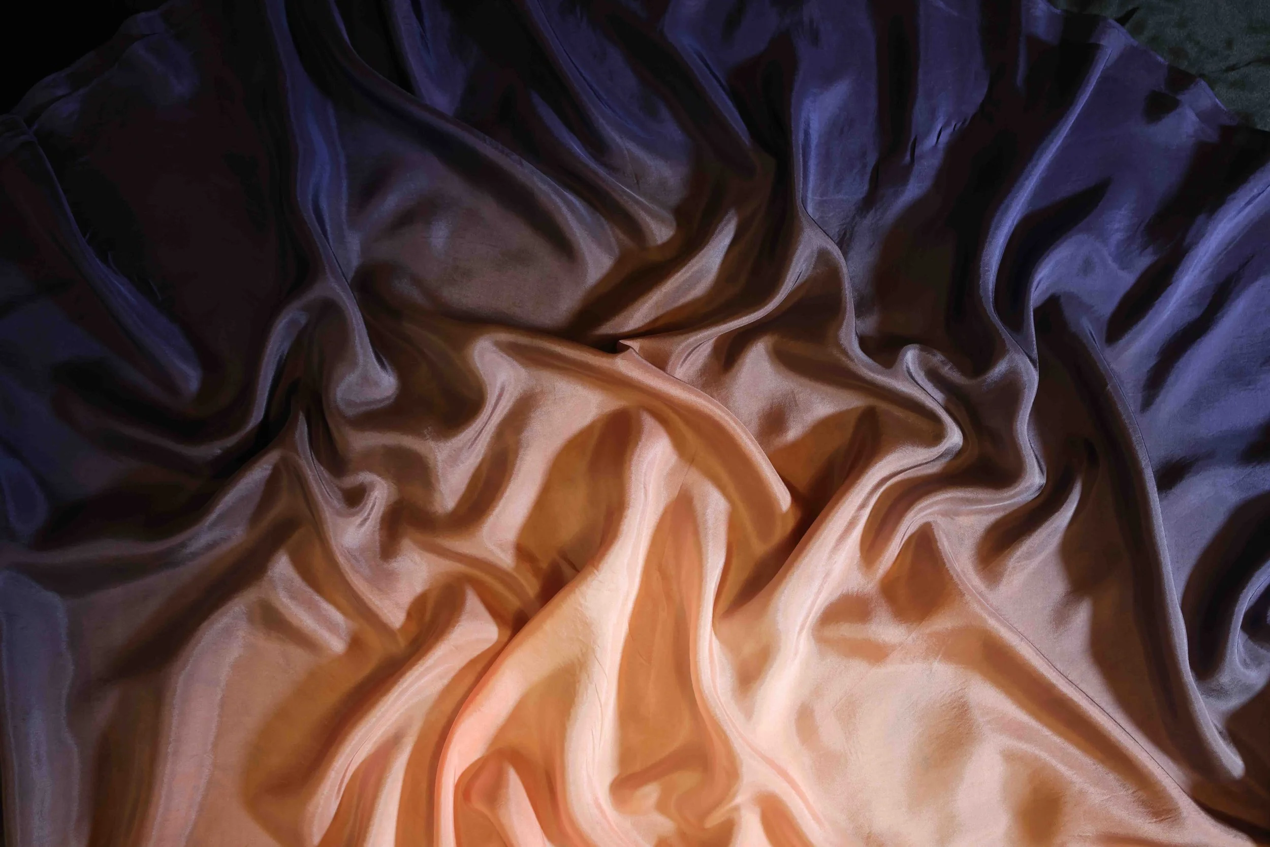 CAMA9407.jpg