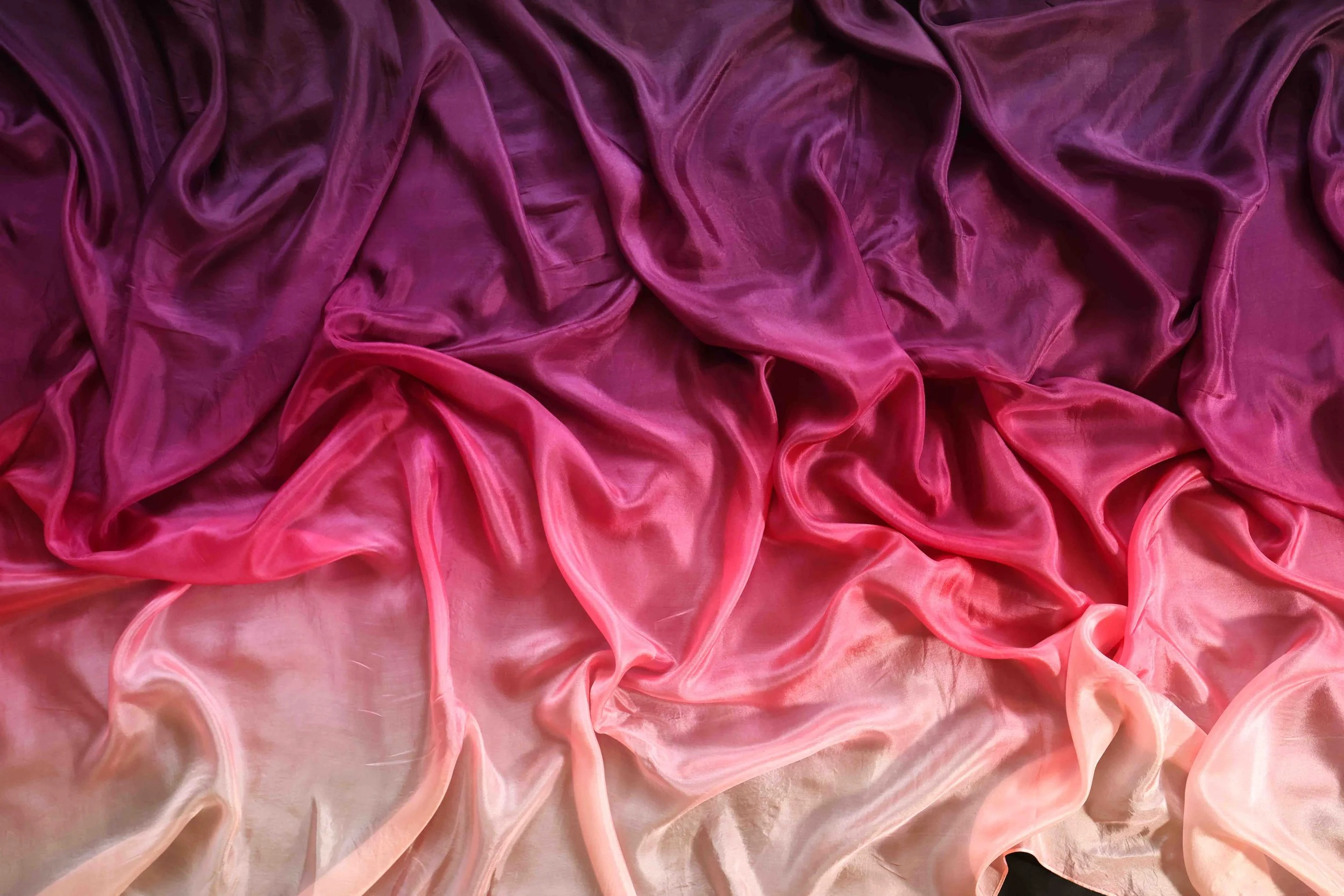CAMA9350.jpg