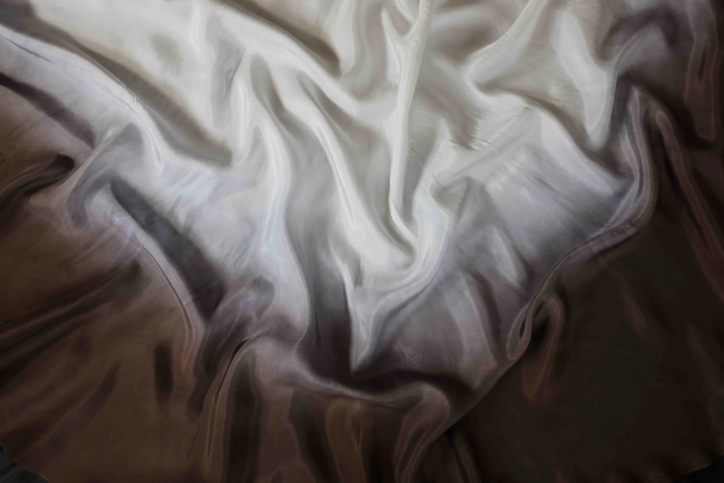 CAMA9417.jpg