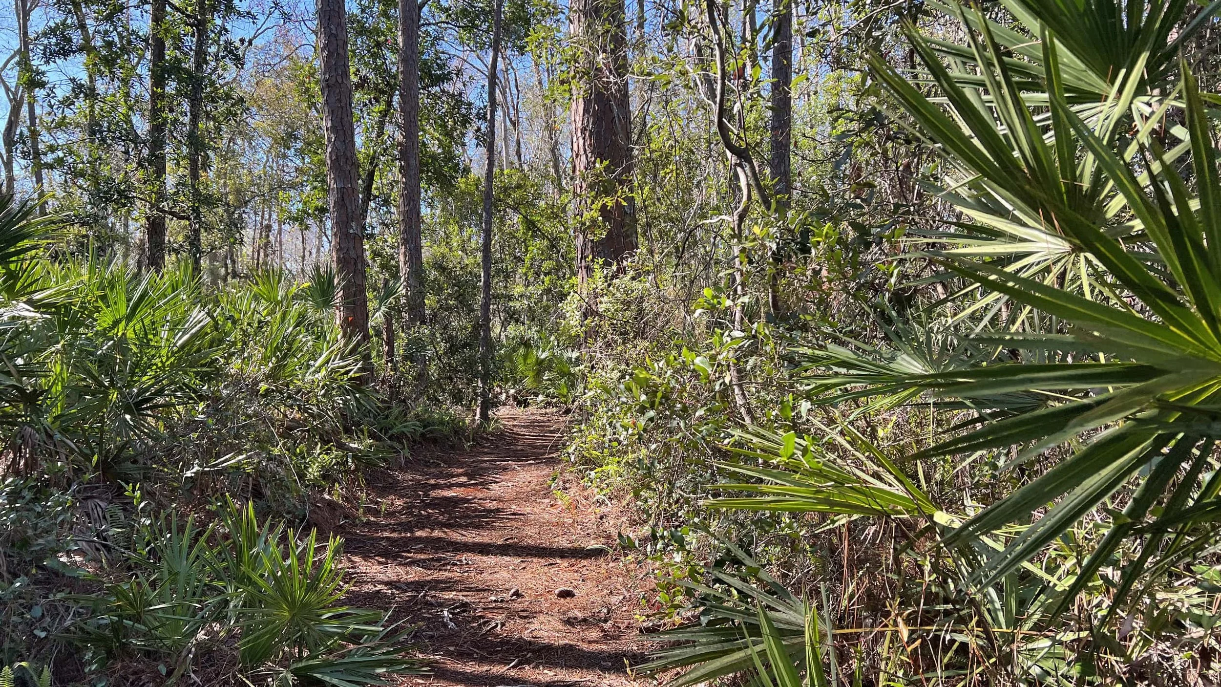 Moccasin Lake Park Trail