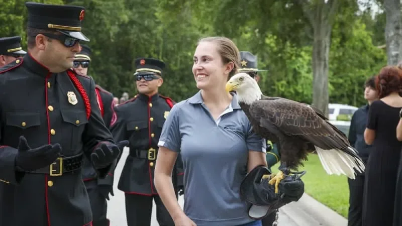 Remembering Thunder: Moccasin Lake's Beloved Bald Eagle Ambassador