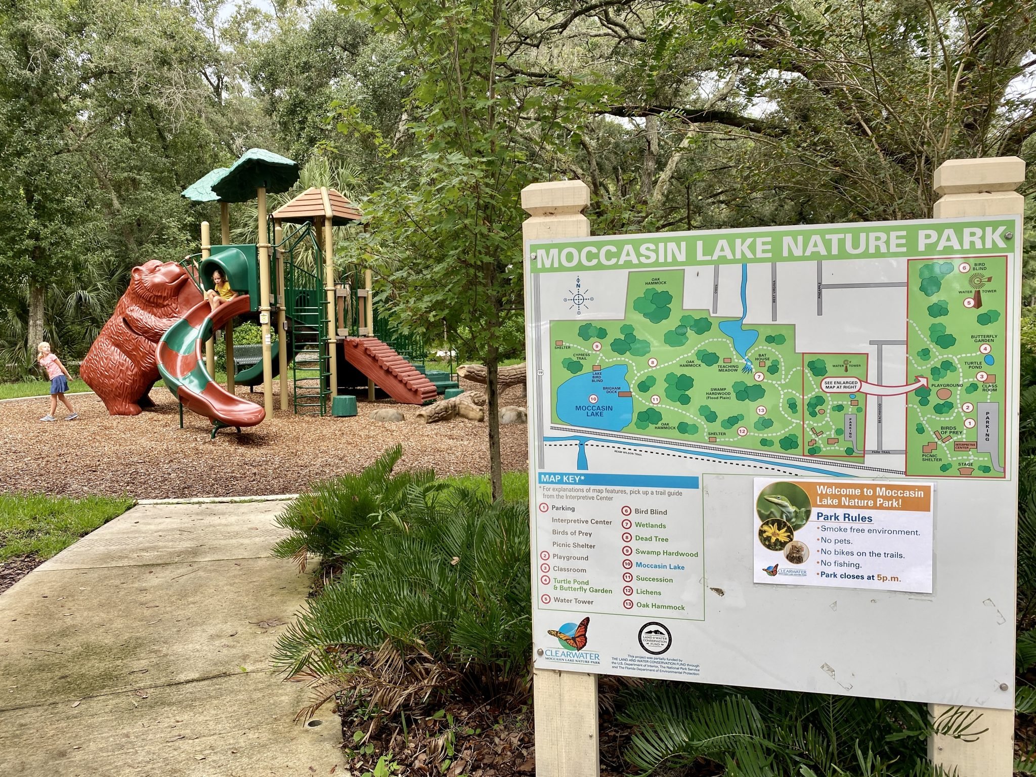 Why Visitors Call Moccasin Lake a "Hidden Gem" in Clearwater