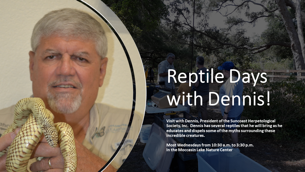 Reptile Days with Dennis!