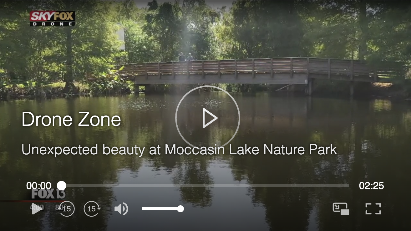 The unexpected beauty of Clearwater's Moccasin Lake Nature Park